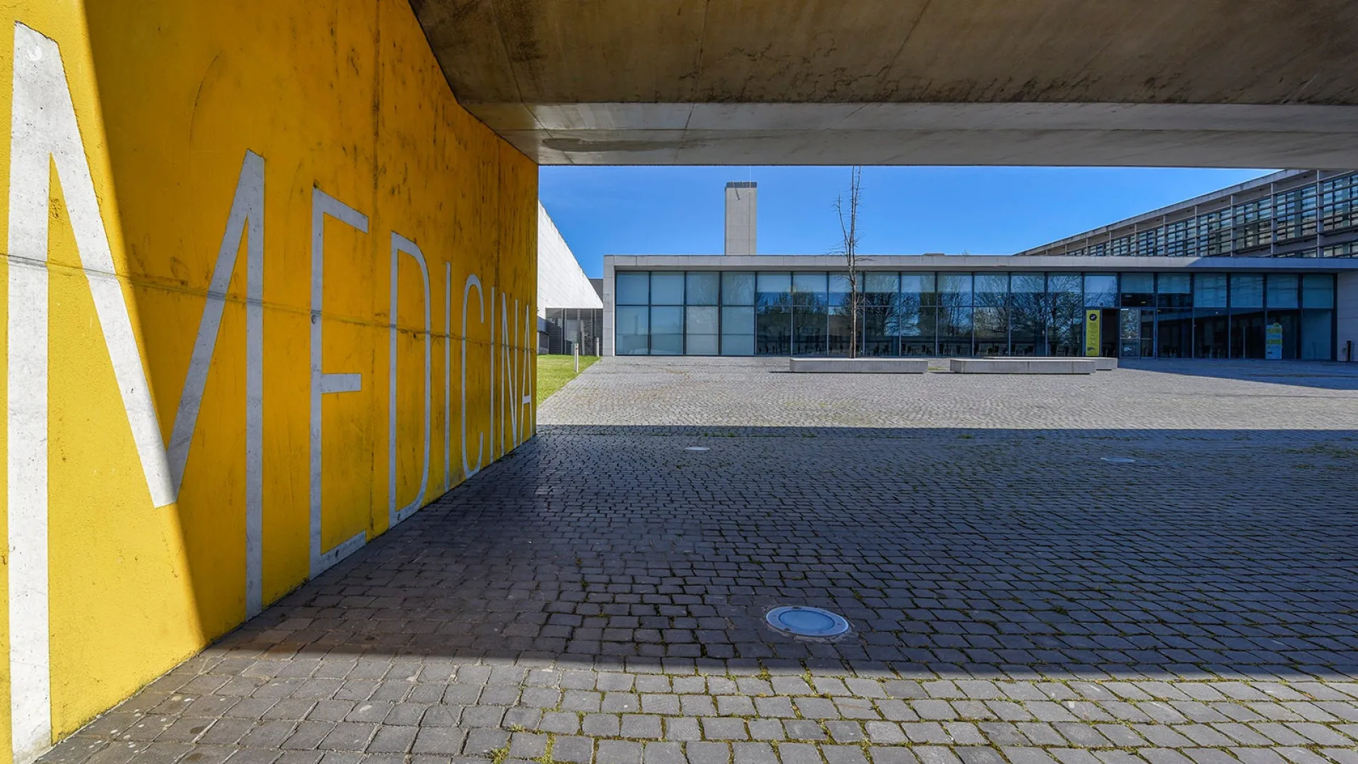 
                    FMUP estreia 5.ª-feira minissérie sobre histórico crime da Rua das Flores
                