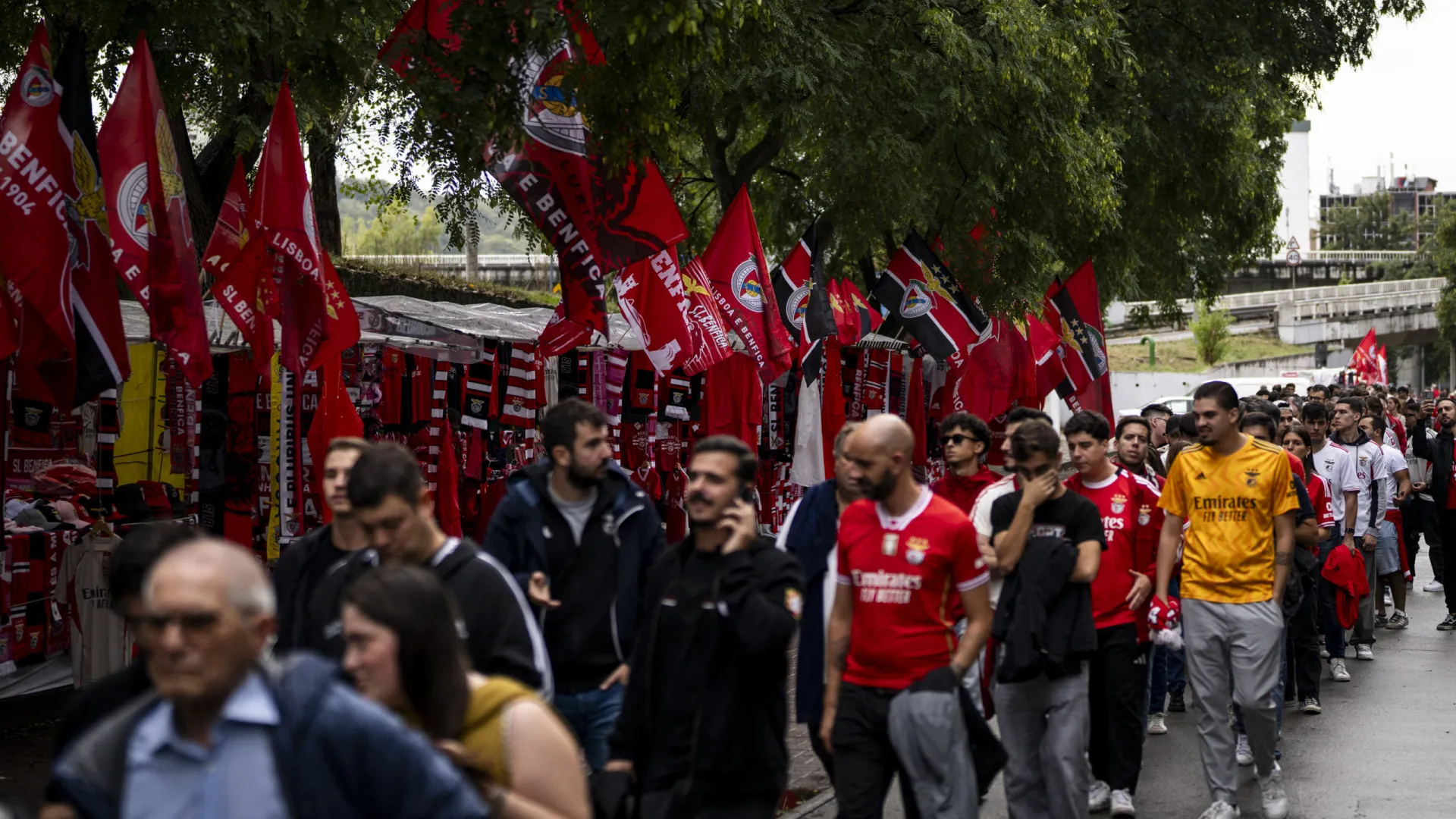 
                    MAG do Benfica anuncia cinco novidades na segunda volta das eleições
                