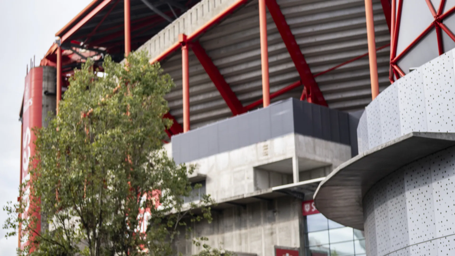 Ações da SAD do Benfica abrem em terreno positivo após eleições no clube