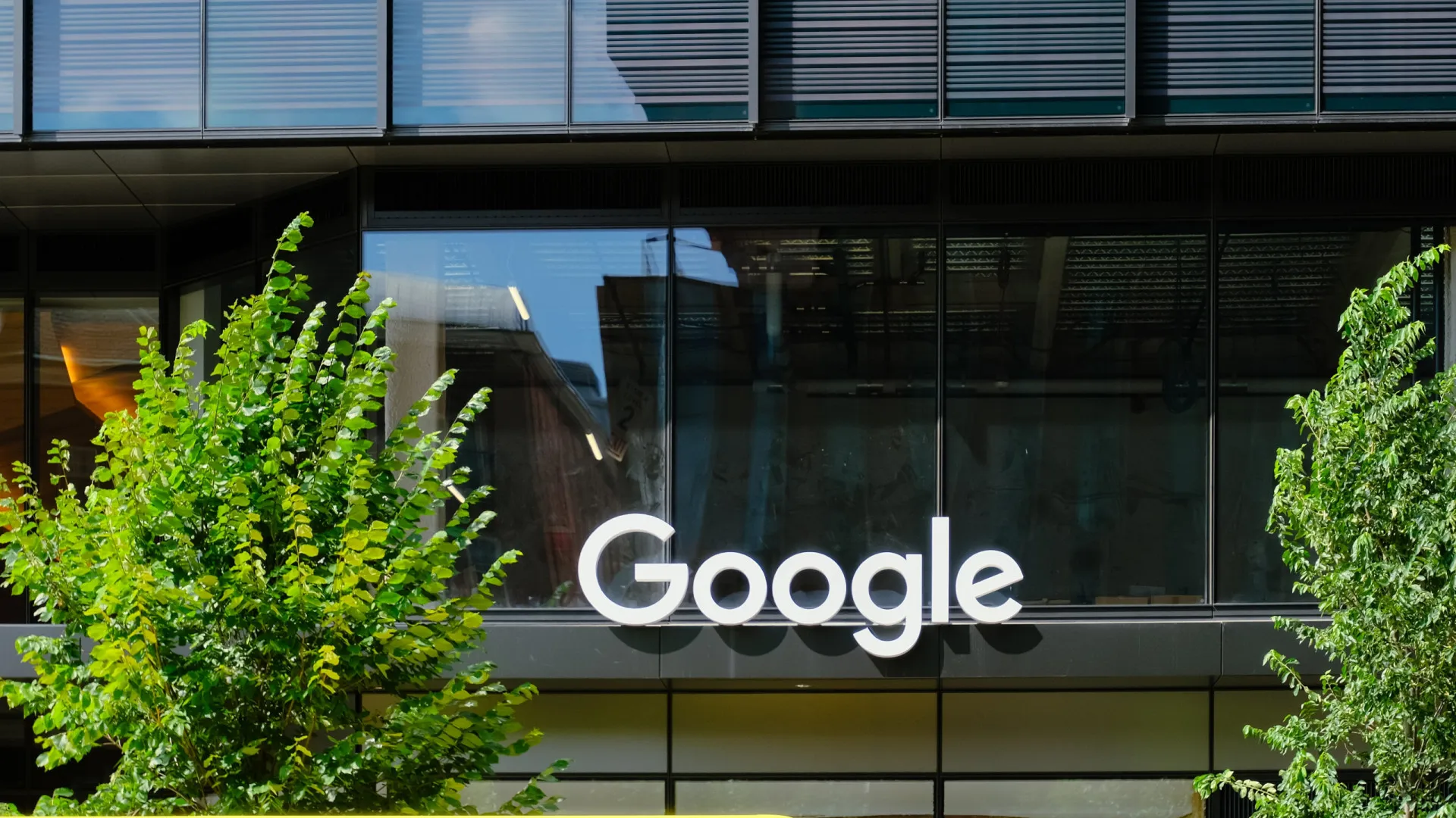 
                    Google vai dar competências de IA a 7 mil universitários portugueses
                