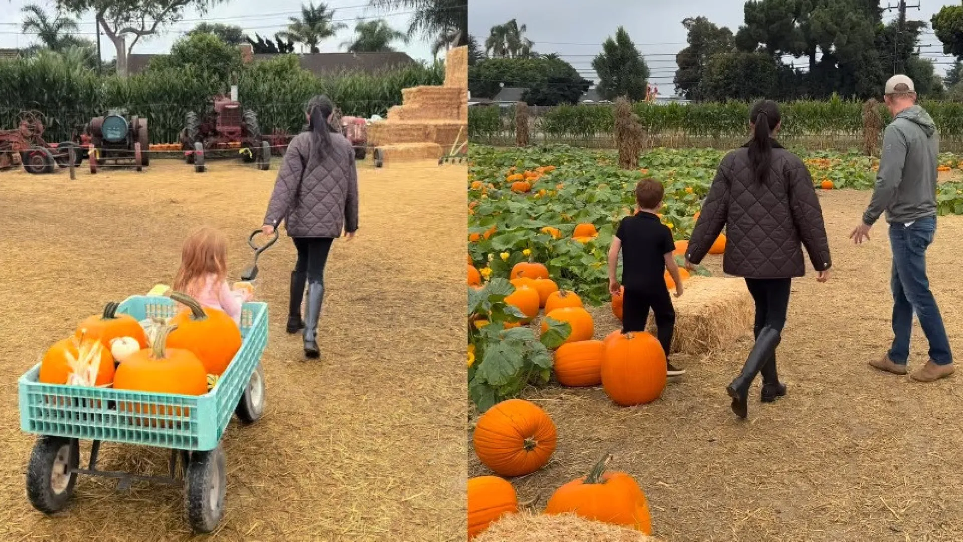 Vídeo. Filhos de Meghan Markle e Harry preparam-se para o Halloween