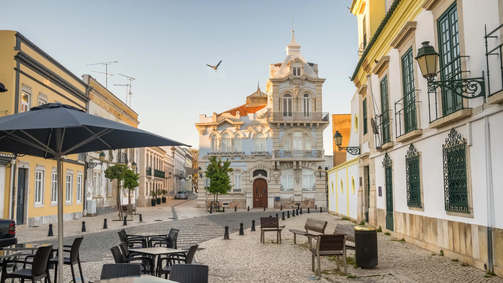 Novo presidente da Câmara de Faro não