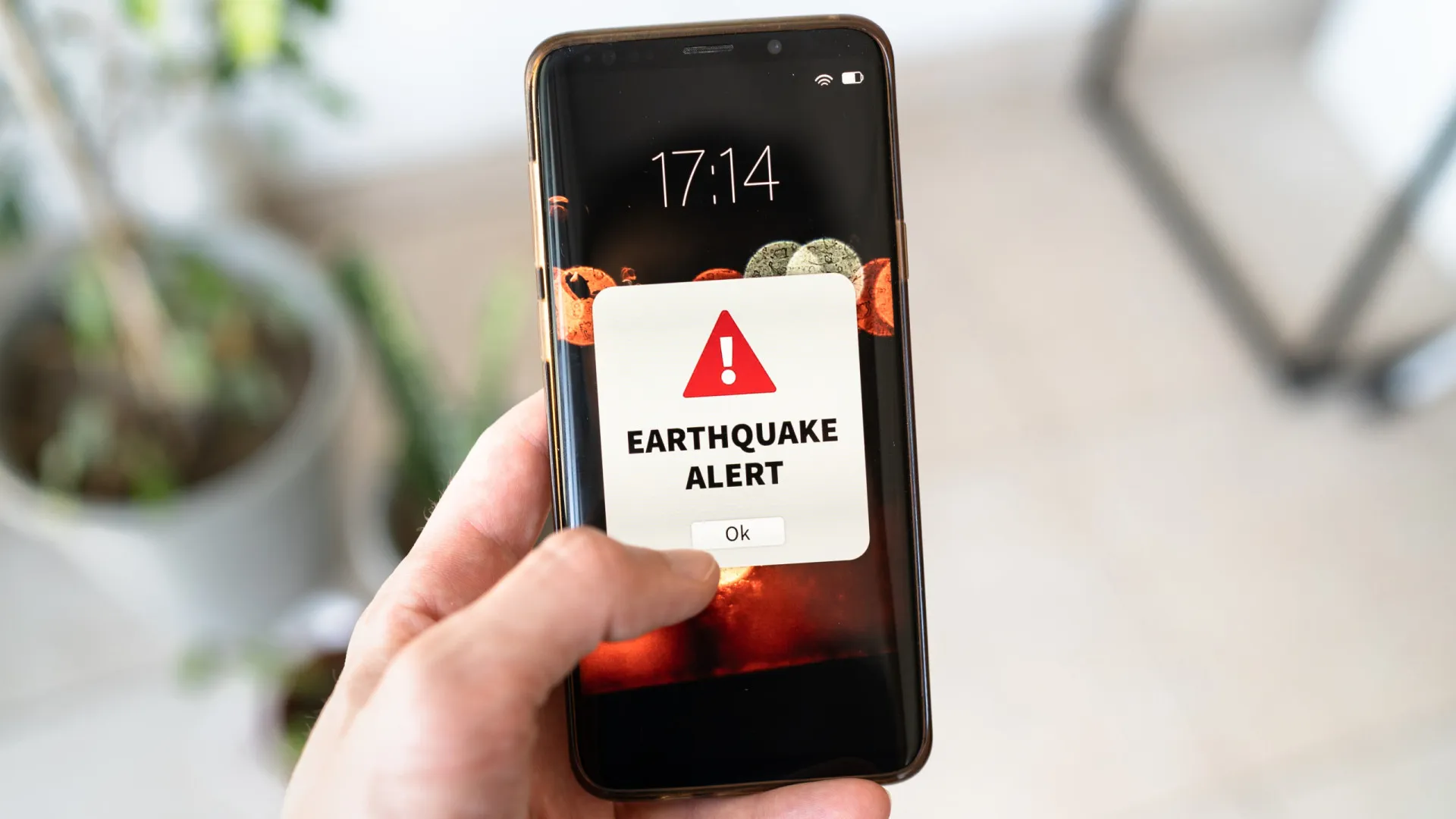 Proteção Civil realiza exercício público para o risco sísmico pelo país