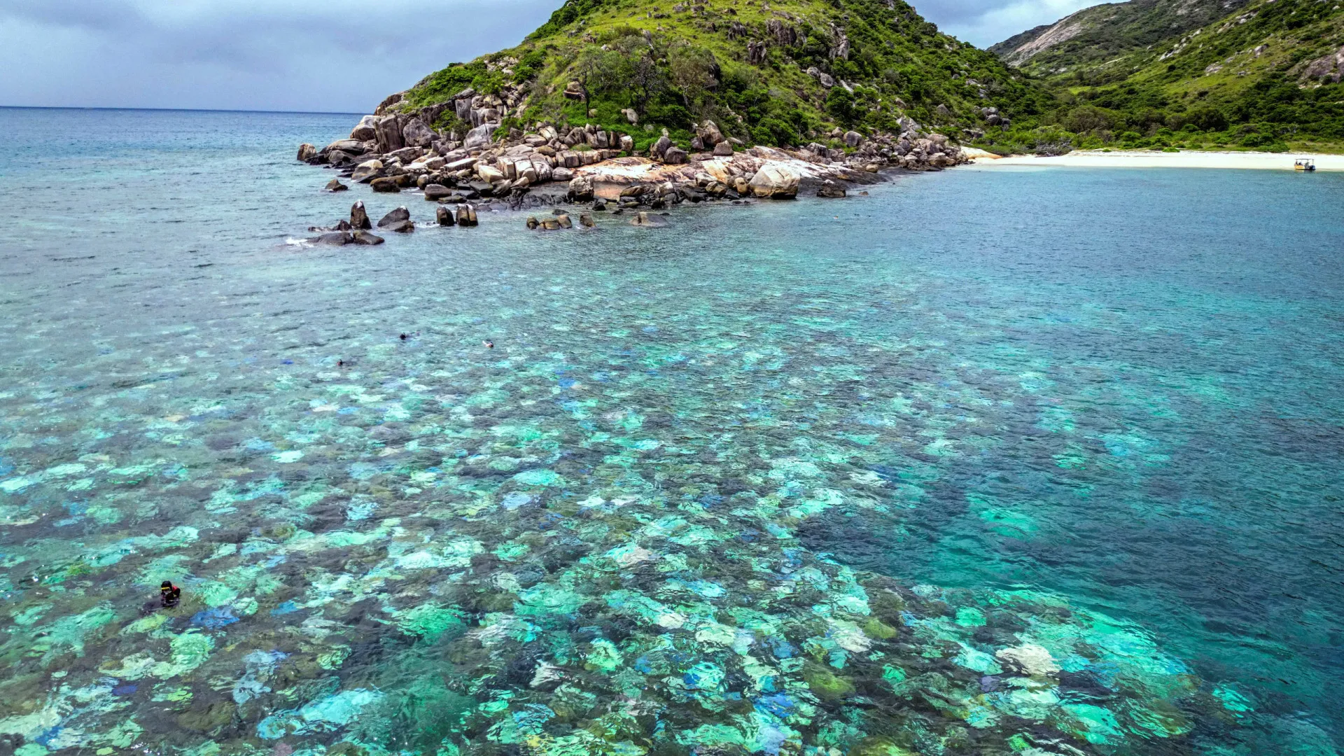 Idosa encontrada morta após ser deixada por cruzeiro em ilha australiana