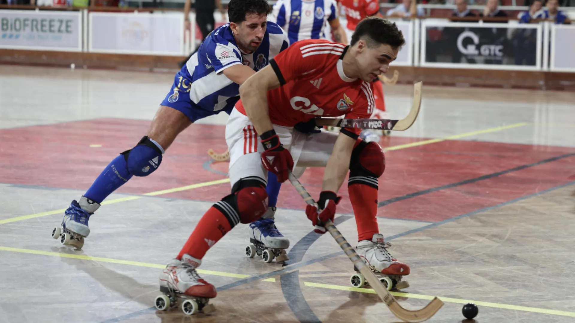 
                    Benfica, Sporting e FC Porto vitoriosos na Liga dos Campeões
                