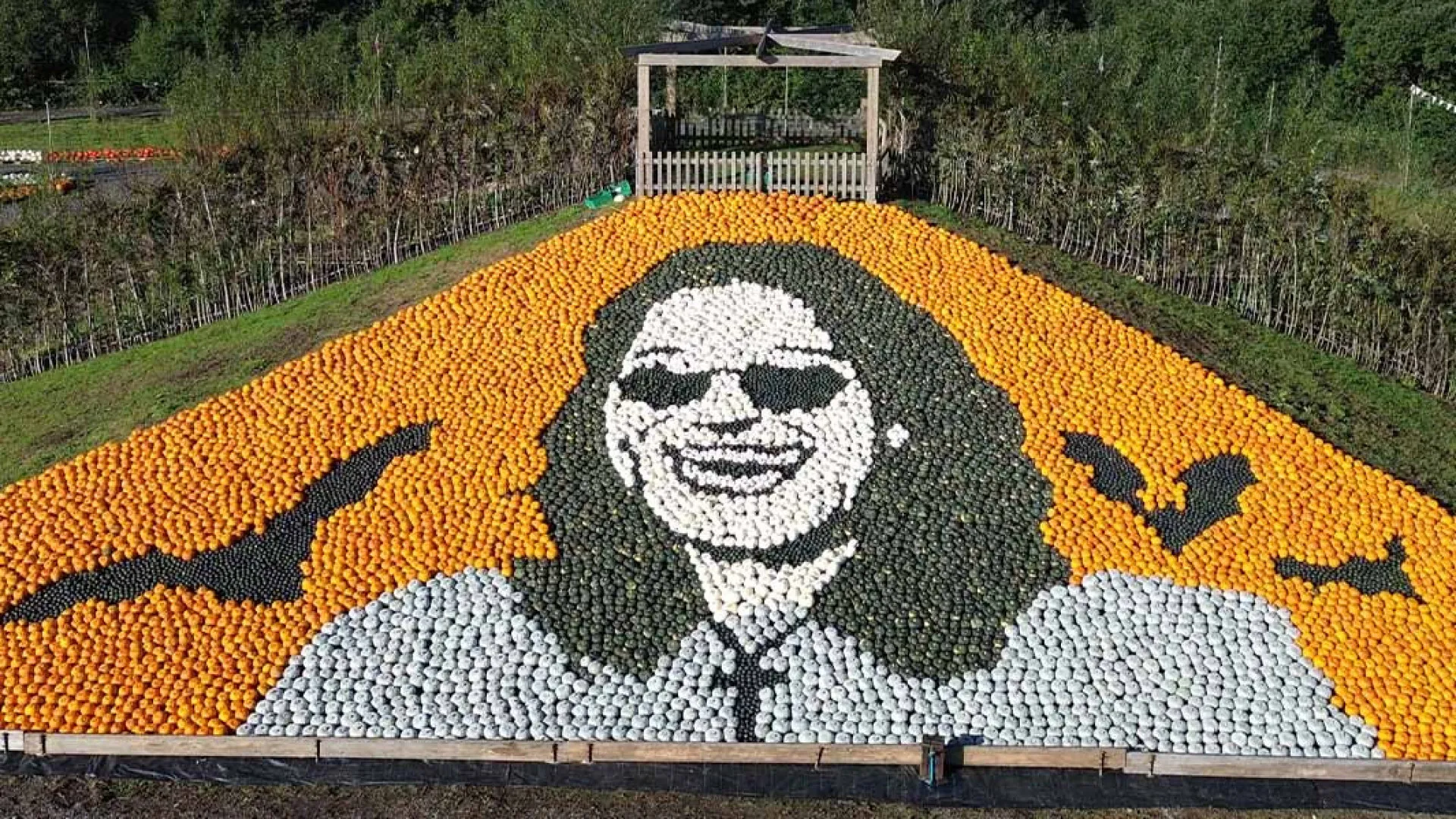 
                    Mosaico de abóboras a homenagear Ozzy Osbourne quebra recorde do Guinness
                