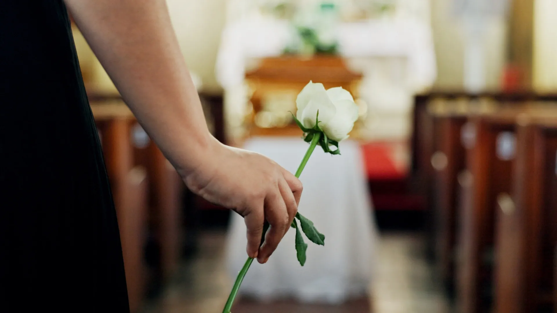 
                    Como falar sobre (e lidar com) o luto? Ordem dos Psicólogos lança guia
                