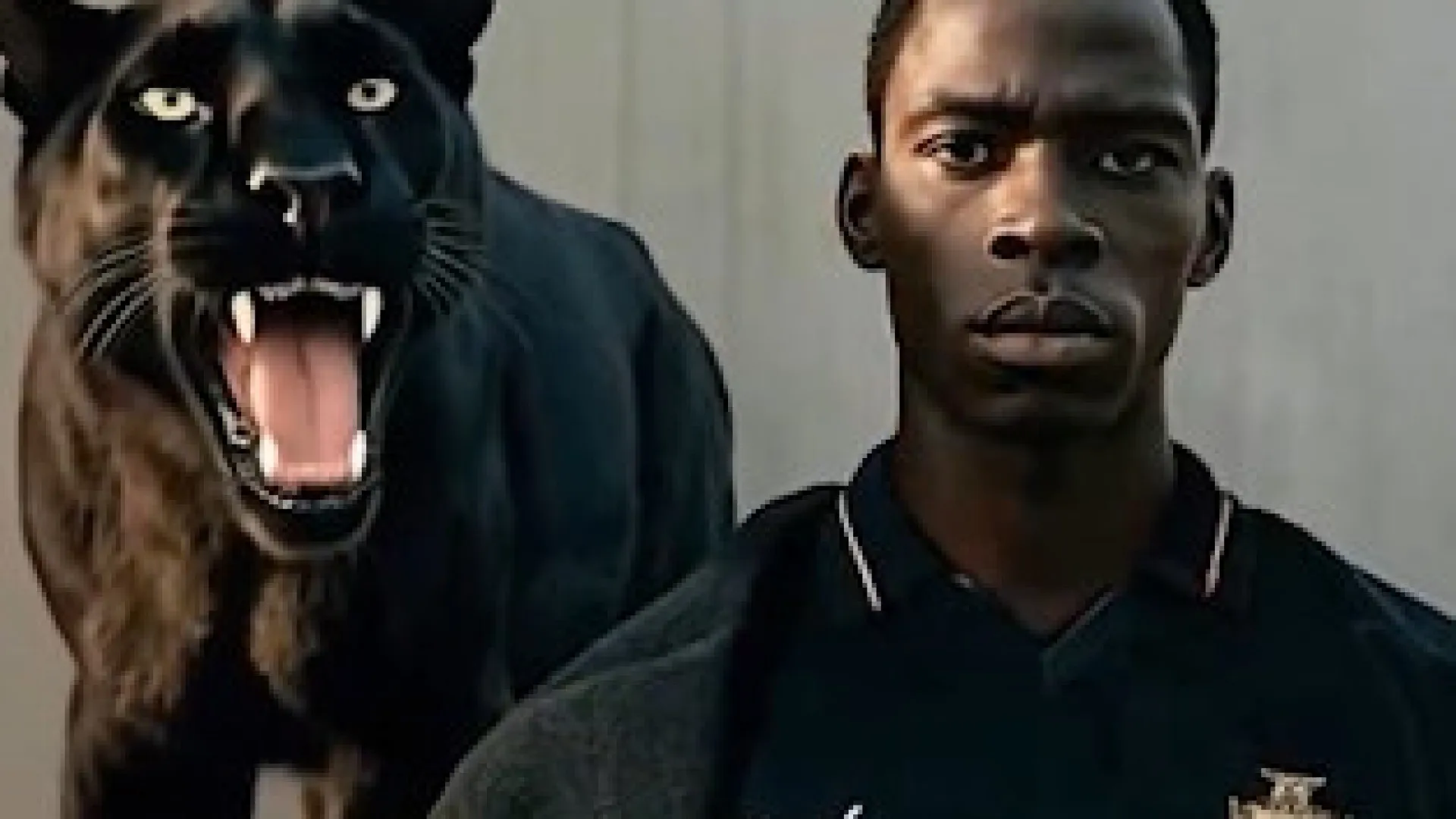 
                    Oficial: A camisola de homenagem a Eusébio que Portugal só usará uma vez
                