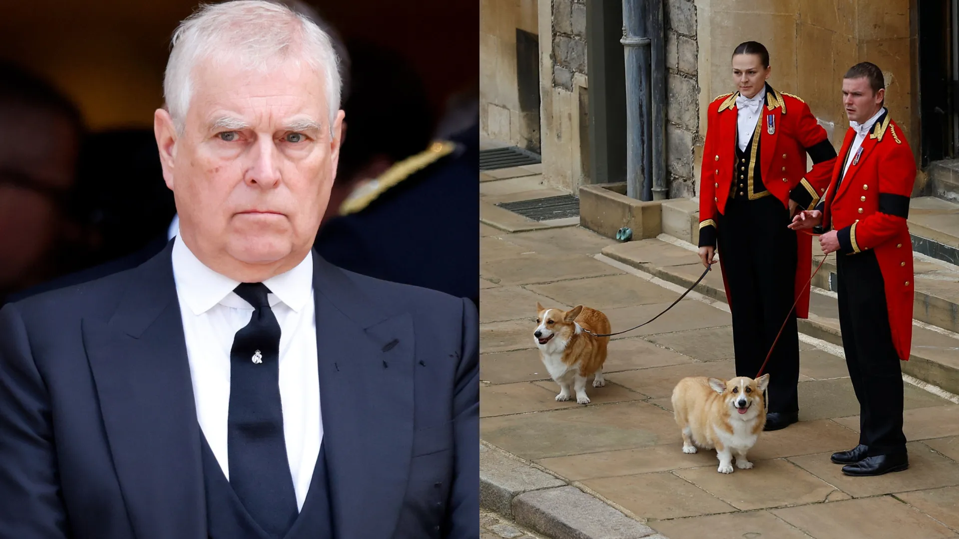 
                    Corgis da rainha Isabel II continuarão a viver com o príncipe André?
                