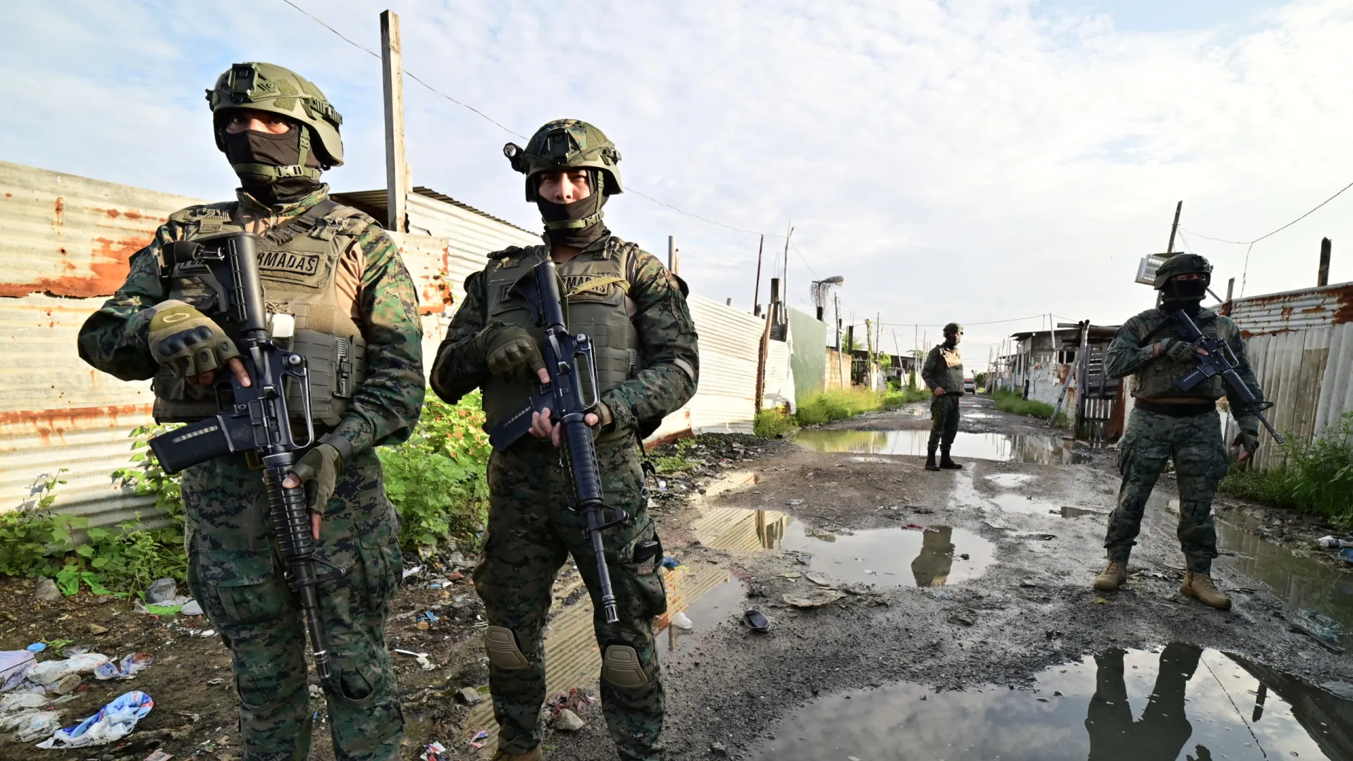
                    Exército do Equador destrói 12 hectares das 