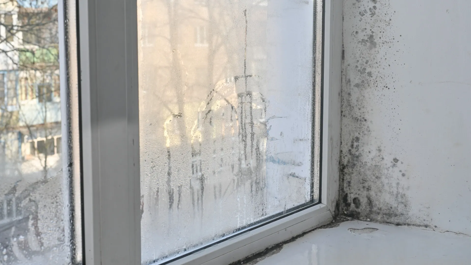 
                    Época da humidade? Eis os truques caseiros para combater este problema
                