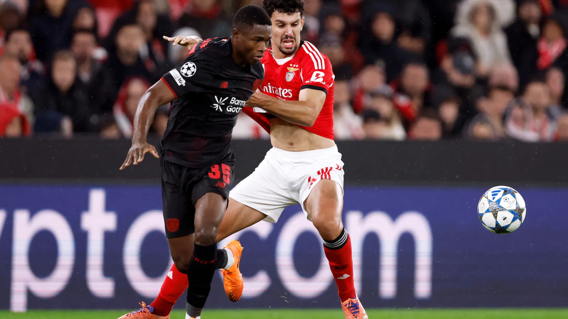 
                    Tomás Araújo reflete na derrota: 