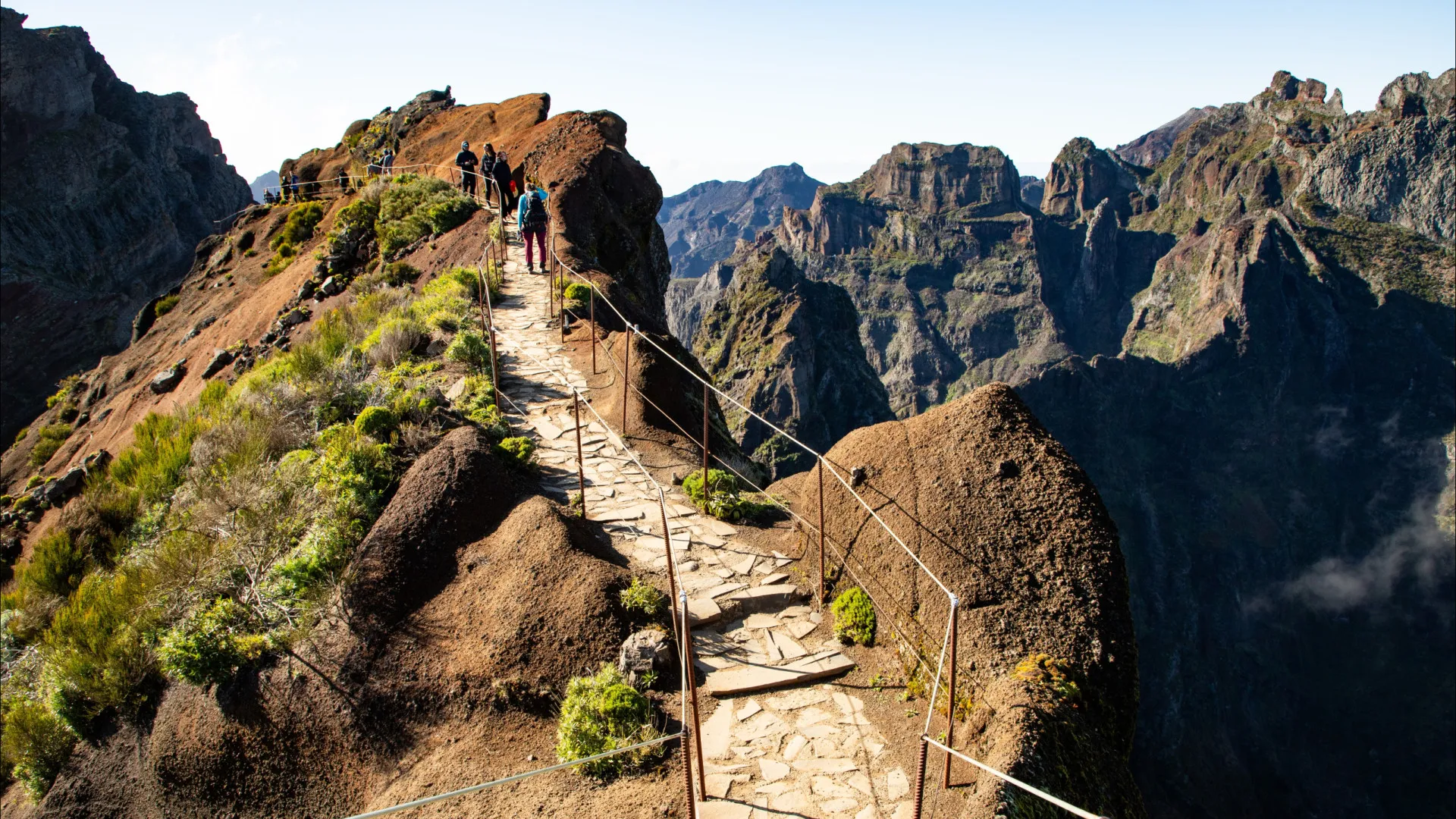 
                    Suspeita de fraude com fundos europeus. Buscas em Lisboa e na Madeira
                