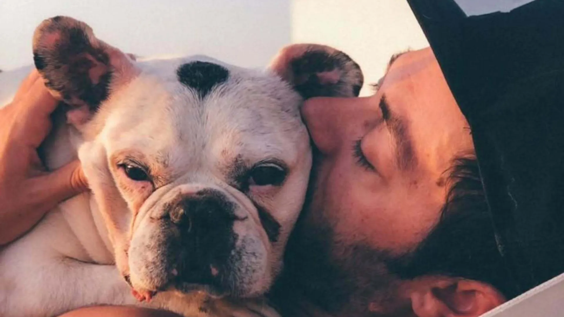 
                    Diogo Valsassina recorda o cão Bart em tocante partilha: 