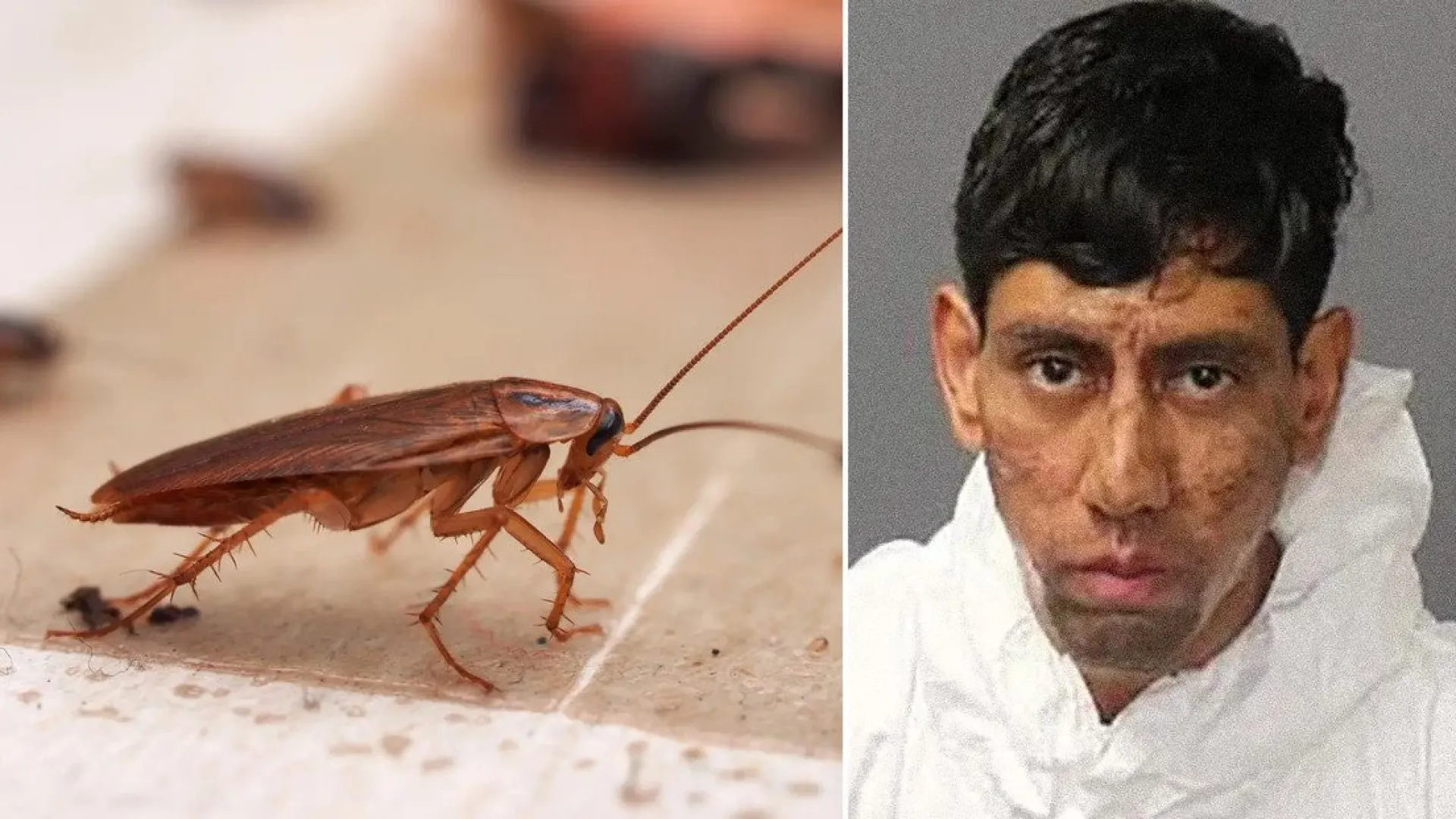 
                    Homem mata duas pessoas após receber 