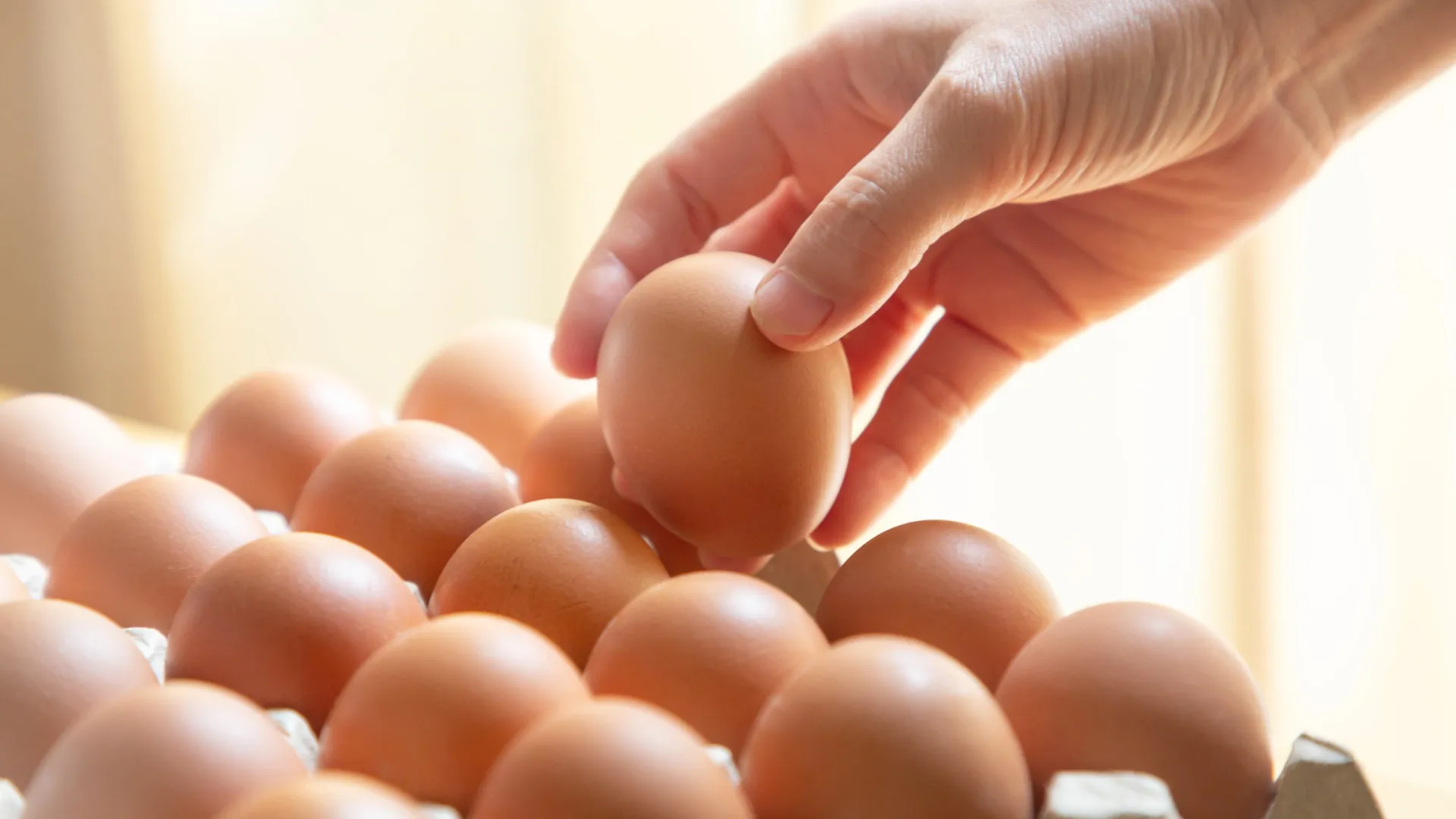 Por que nunca deve cozinhar ovos que acabou de tirar do frigorífico