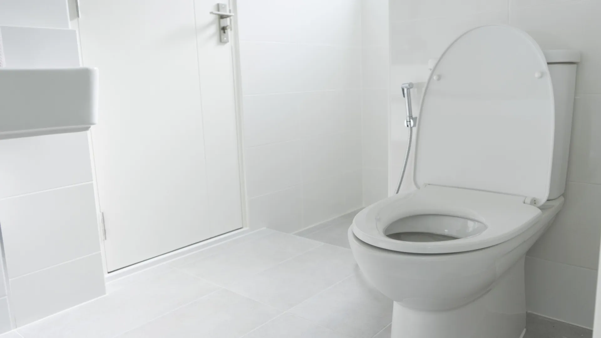 
                    Deixe a tampa da sanita fechada! Eis o que pode acontecer se não o fizer
                