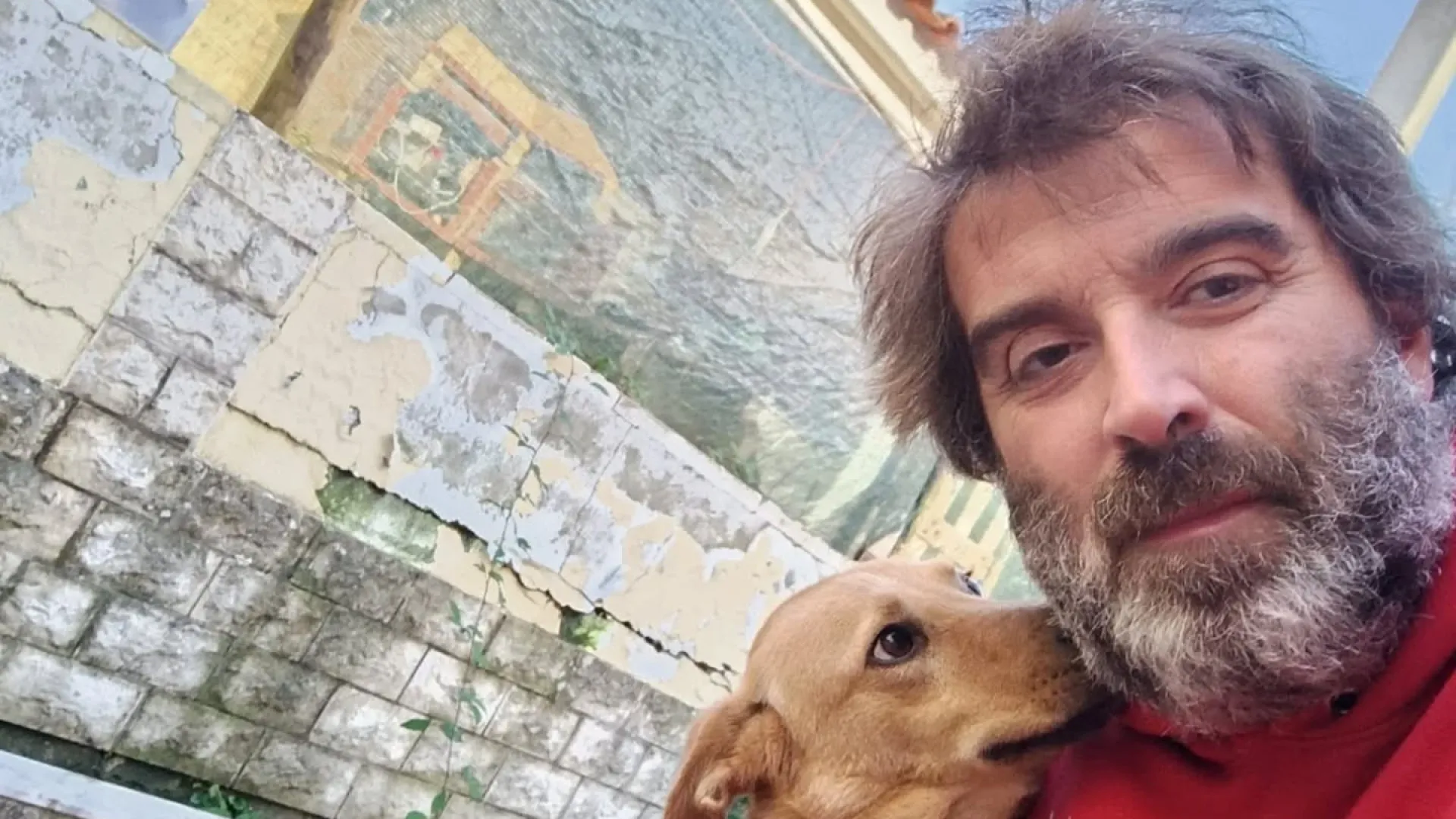 "Histórias com final feliz". Abandonado no Natal, Noel foi agora adotado