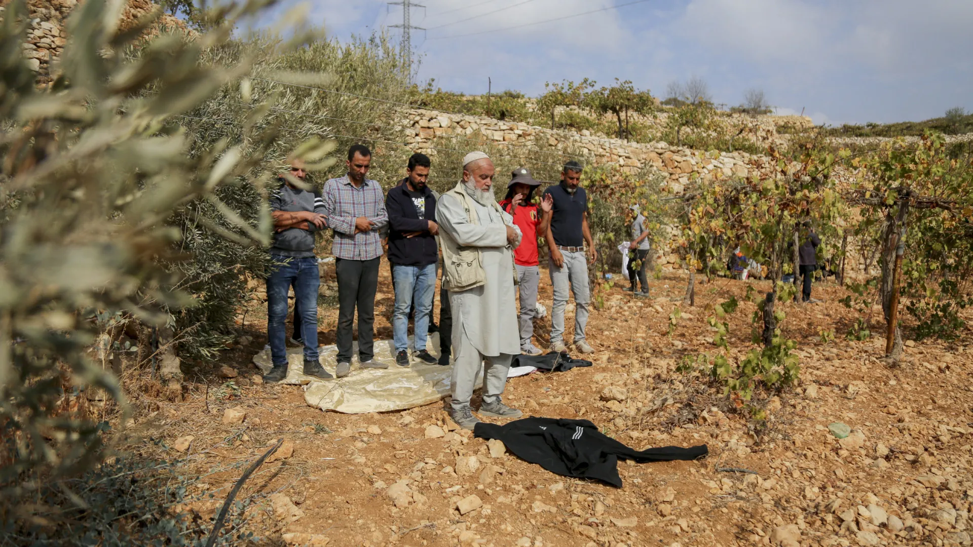 
                    Exército israelita barra ativistas para apanha da azeitona na Cisjordânia
                
