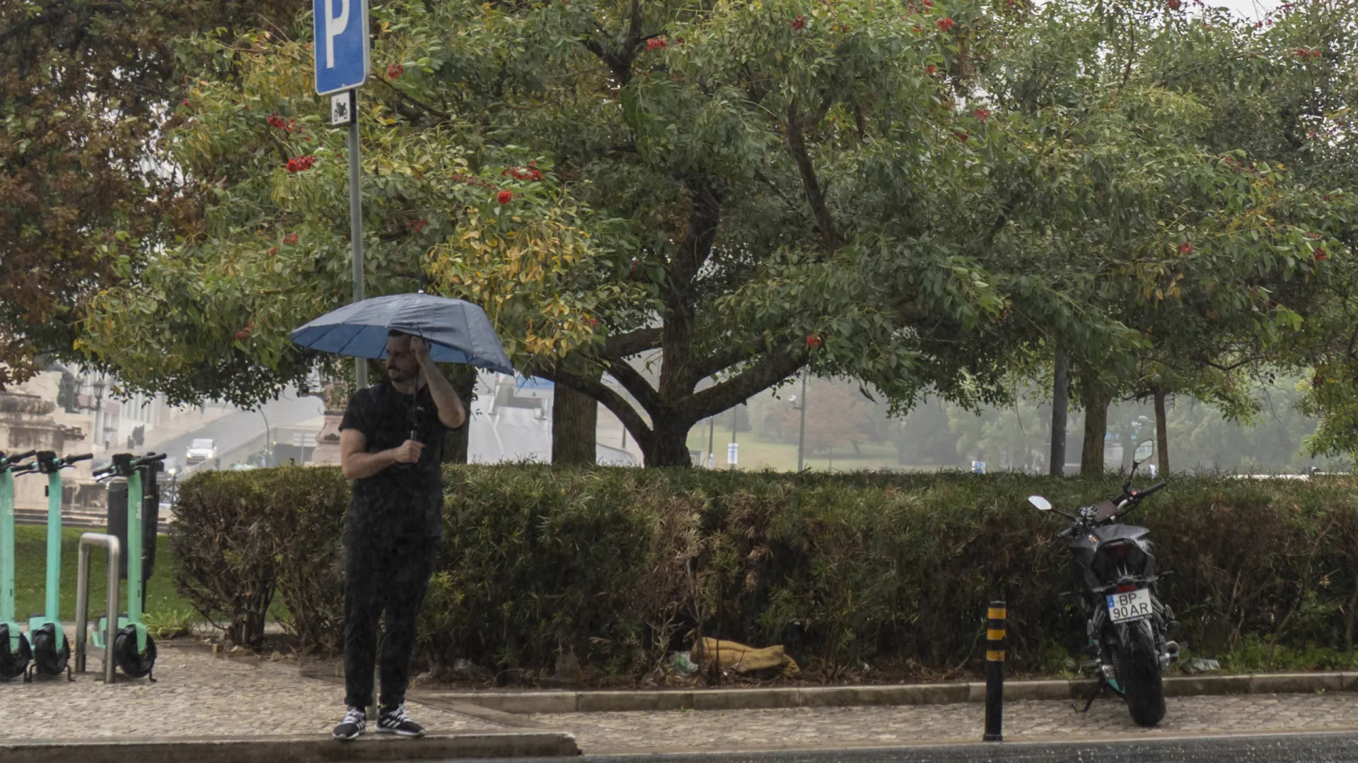 
                    Claudia: Maior rajada de vento na quinta-feira foi de 127 km/h. Onde?
                