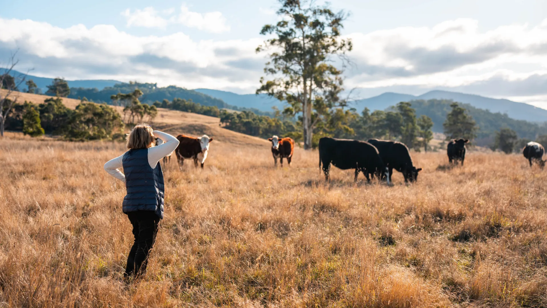 
                    Associação pede proteção social adequada às mulheres na agricultura
                