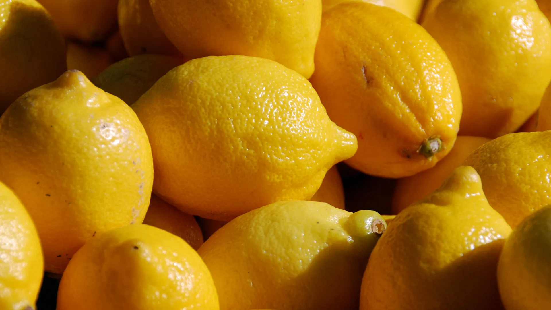 
                    Como congelar limões inteiros, as raspas ou o sumo: Um guia prático
                