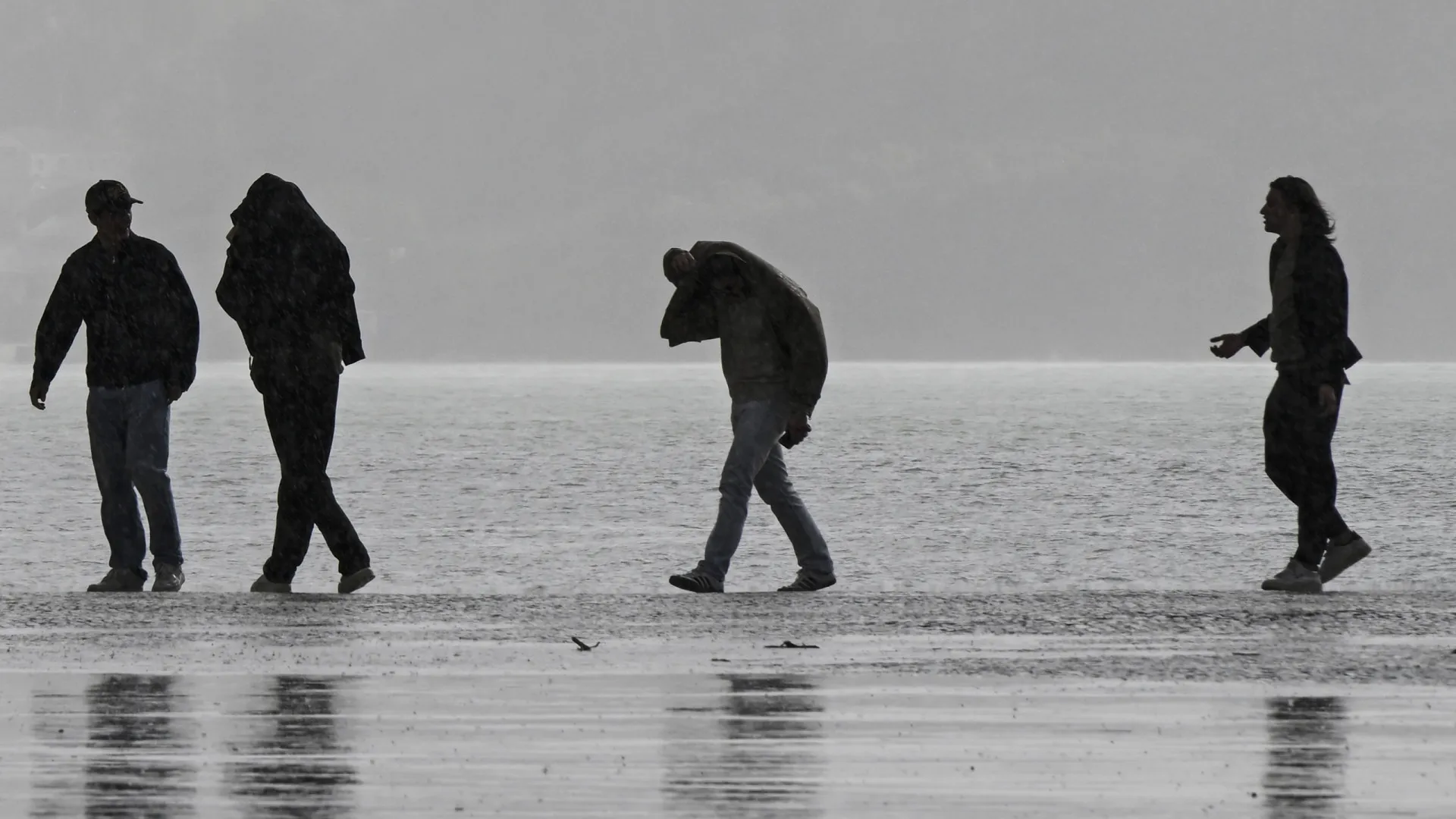 
                    Câmara de Oeiras alerta para 