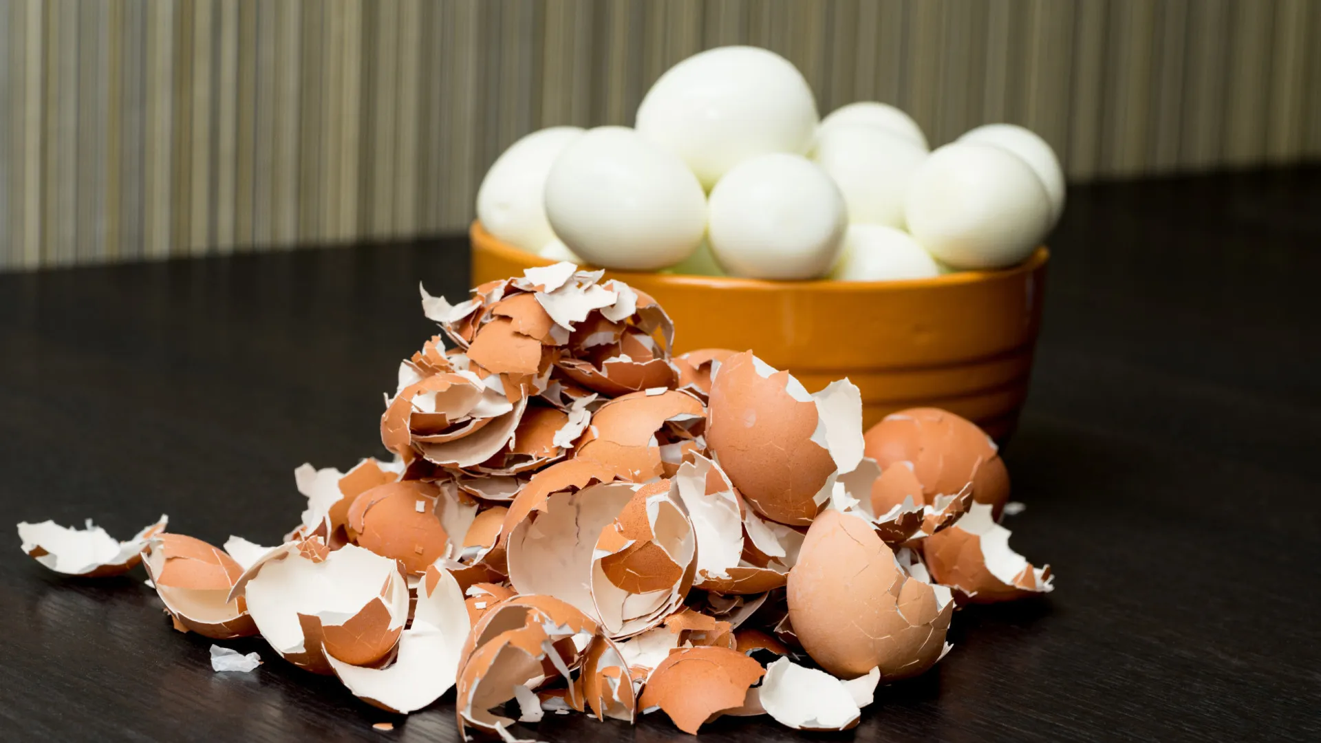 
                    Não deite as cascas dos ovos fora. Sete ideias para as reaproveitar
                