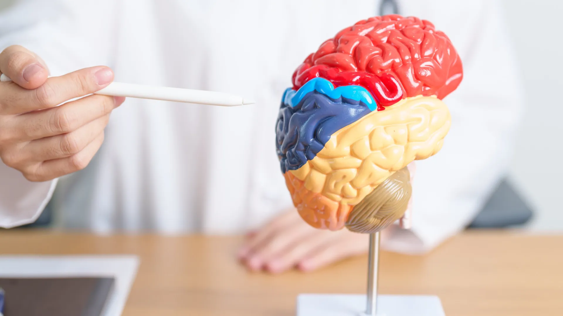 
                    Alzheimer. Cientistas descobrem como 