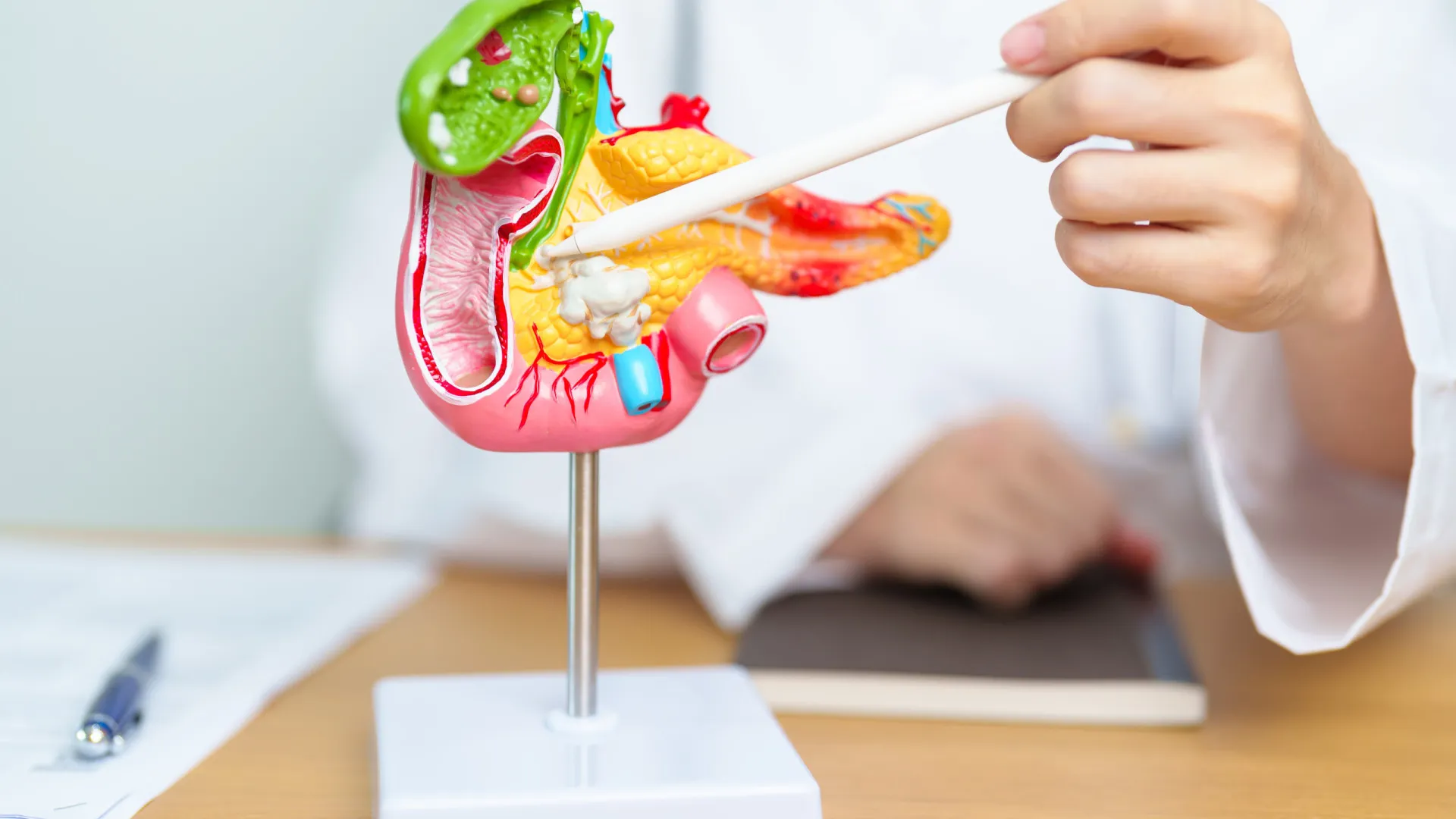 
                    Cancro do pâncreas é sempre fatal? Só afeta idosos? Médica desvenda mitos
                