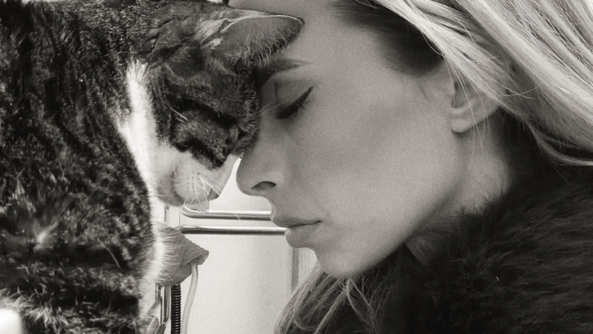 
                    Helena Coelho de luto com morte de patudo: 