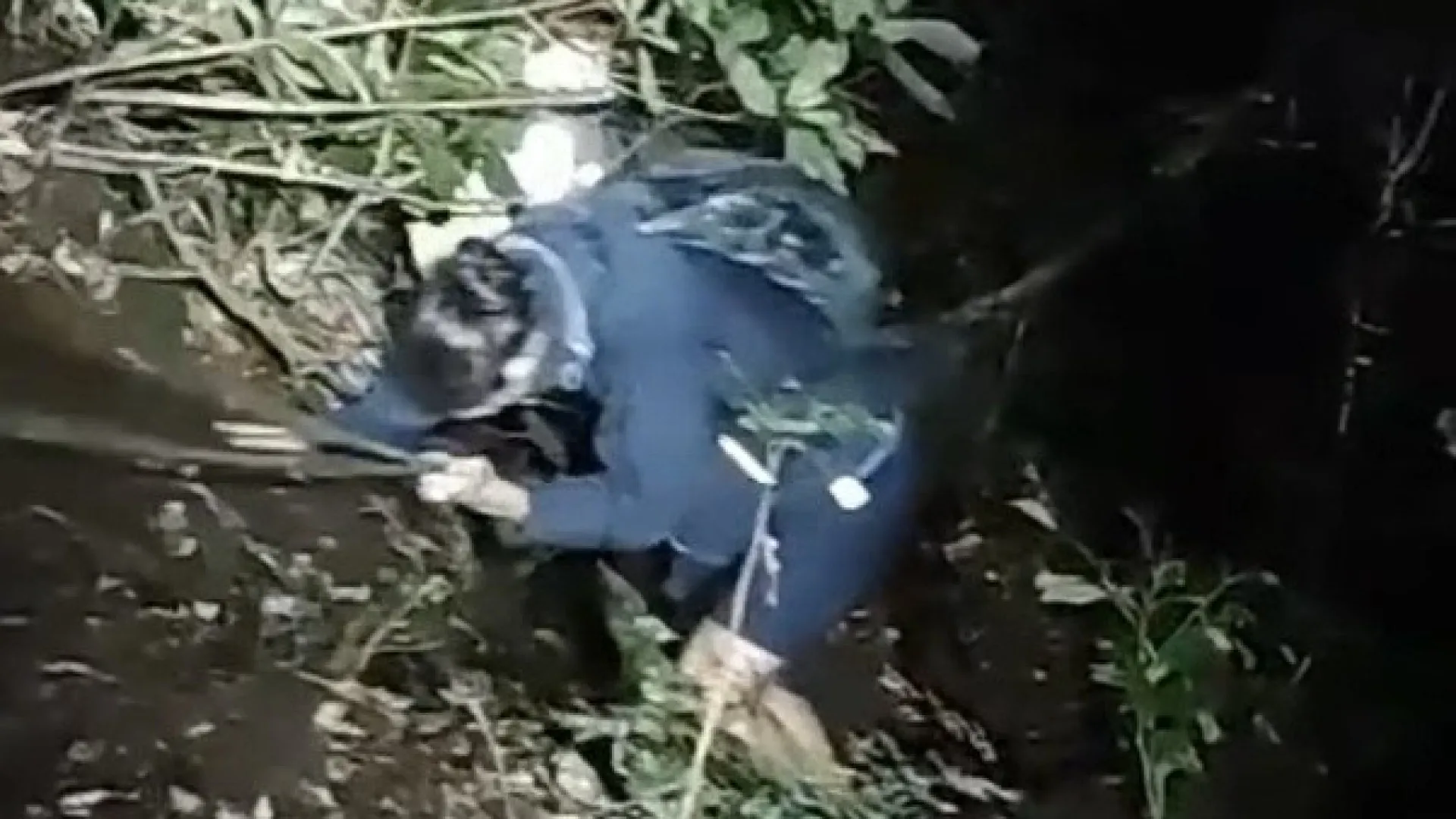 
                    PSP resgata casal de turistas argentino perdido nas serras da Madeira
                