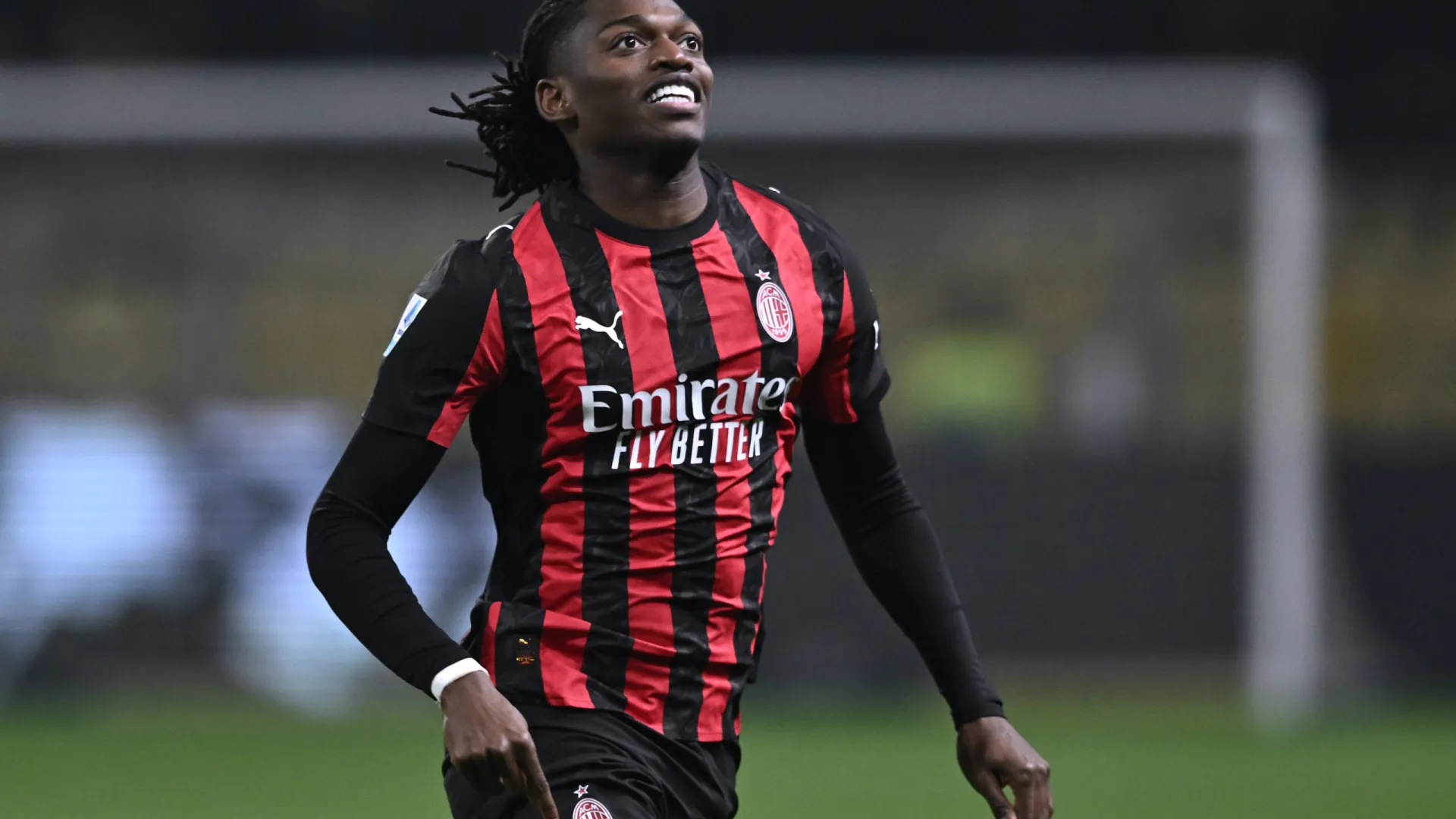 
                    Leão não tem 'descanso': 