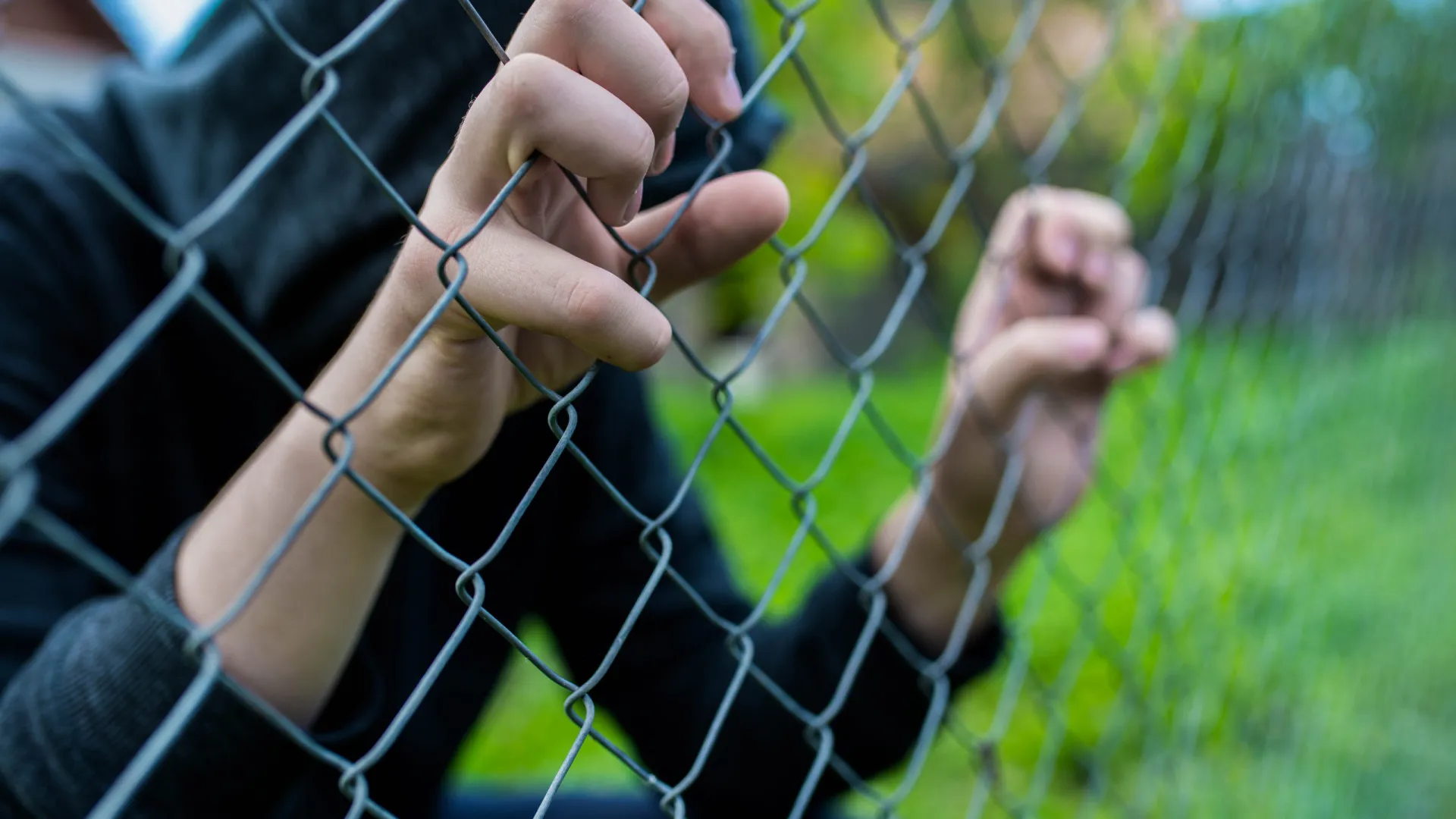 
                    Violação e homicídio entre crimes que mais aumentaram em 2025
                