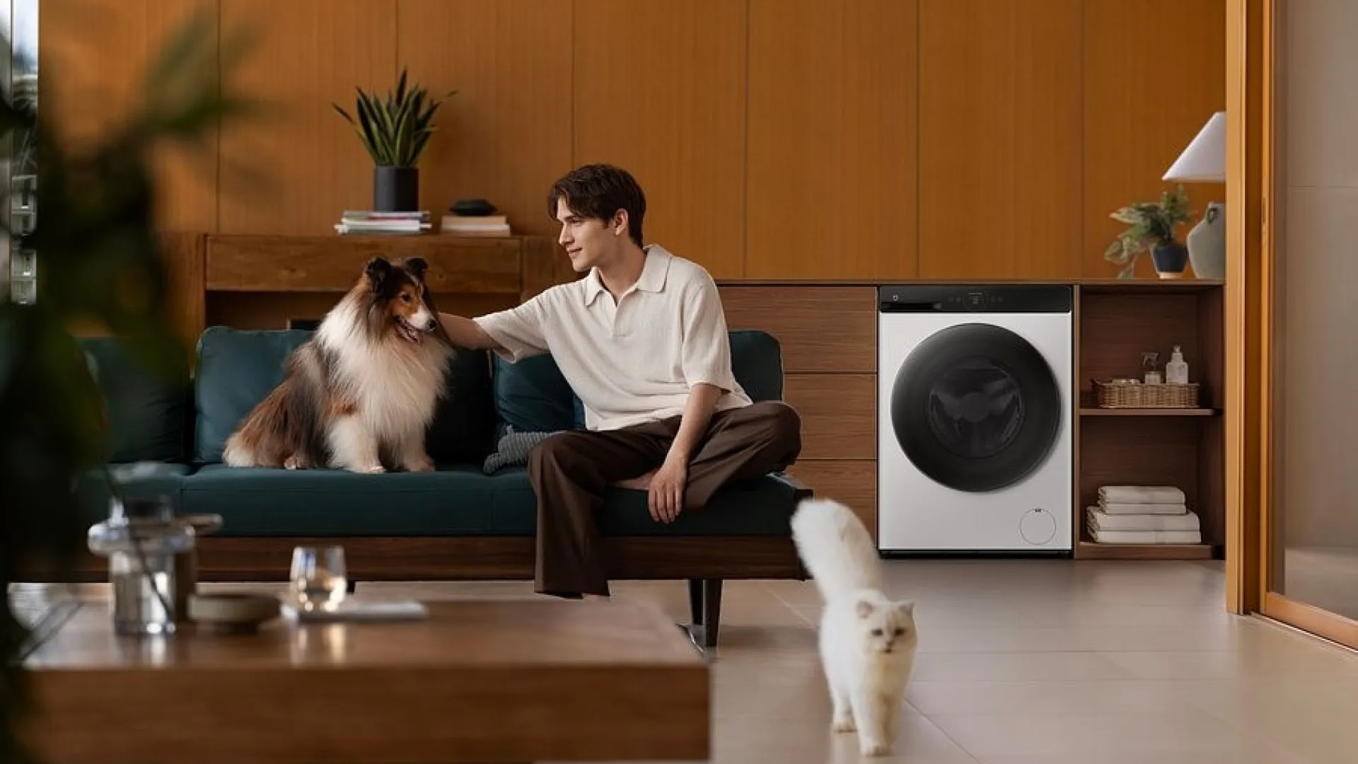 
                    Eletrodomésticos Mijia da Xiaomi já chegaram a Portugal
                