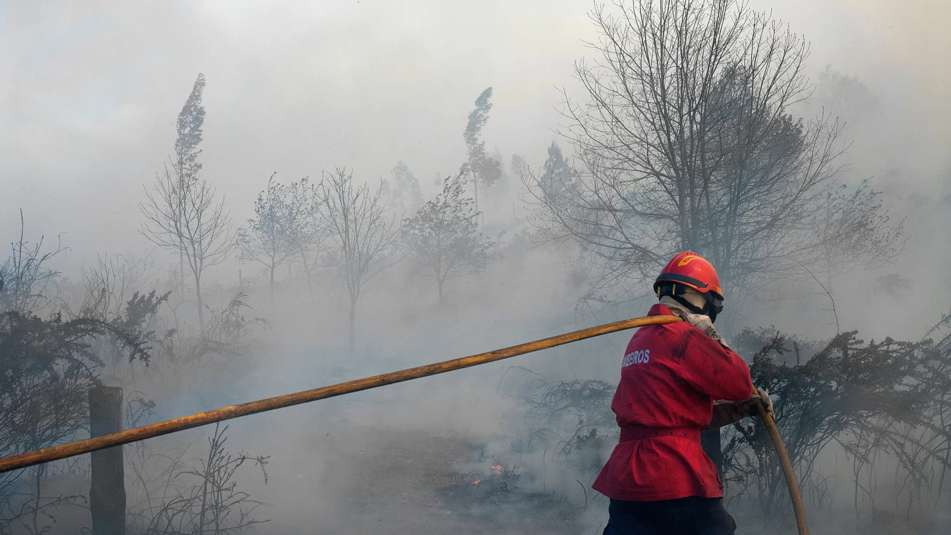 
                    Bombeiros do Fundão podem ser expulsos caso se confirmem as acusações
                