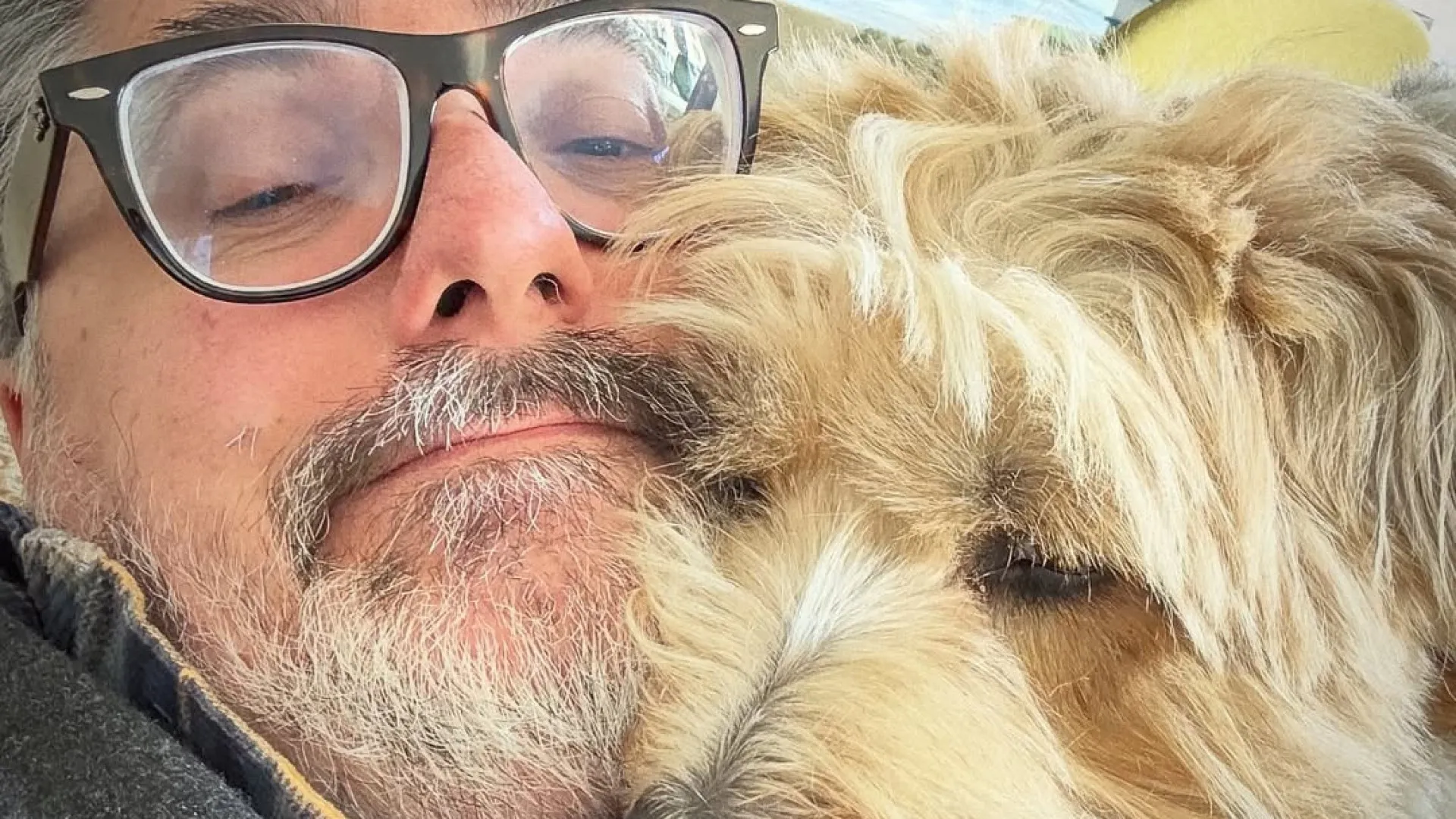 
                    Os cães podem mesmo pressentir AVC dos donos? Veterinários esclarecem
                