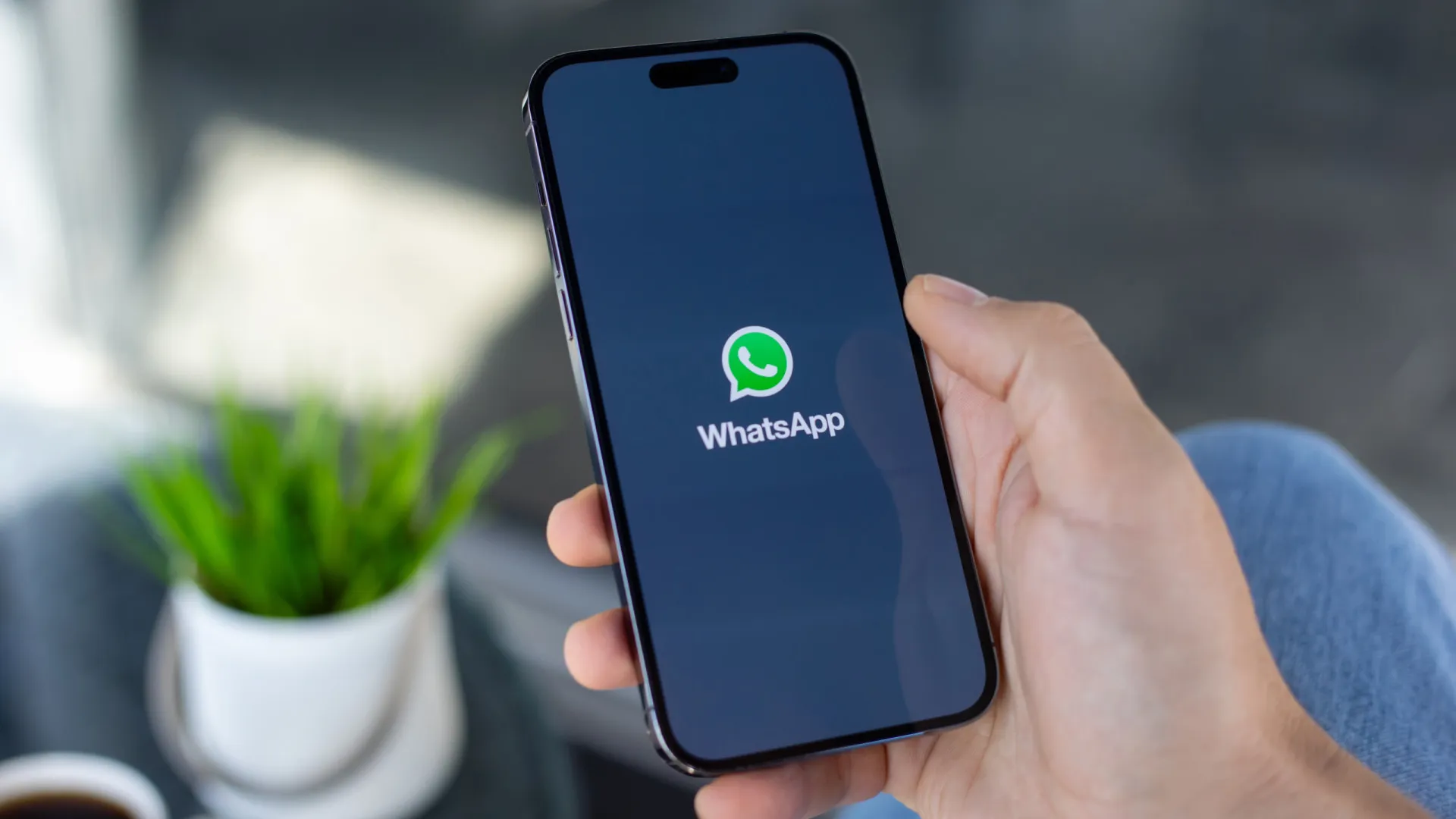 
                    Depois do ChatGPT, há mais uma IA que vai abandonar o WhatsApp
                