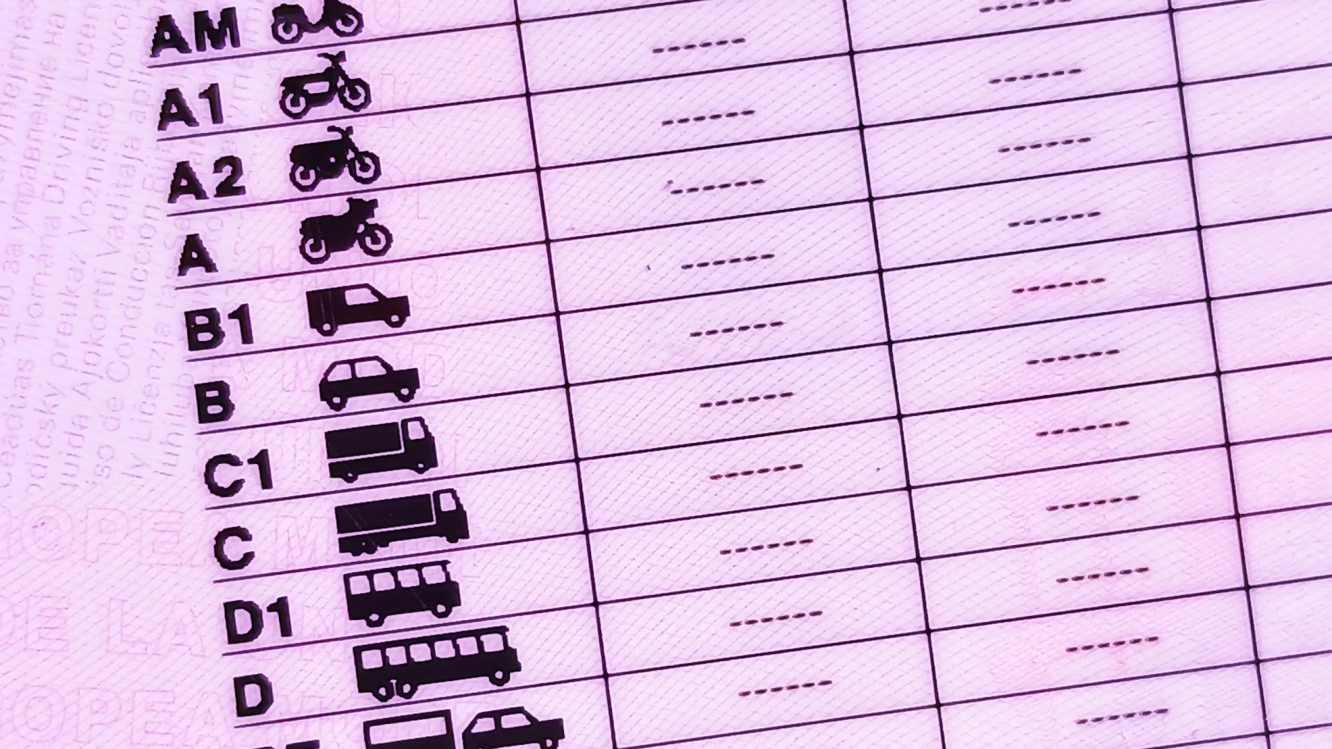 
                    Fraudes em exames de condução: 