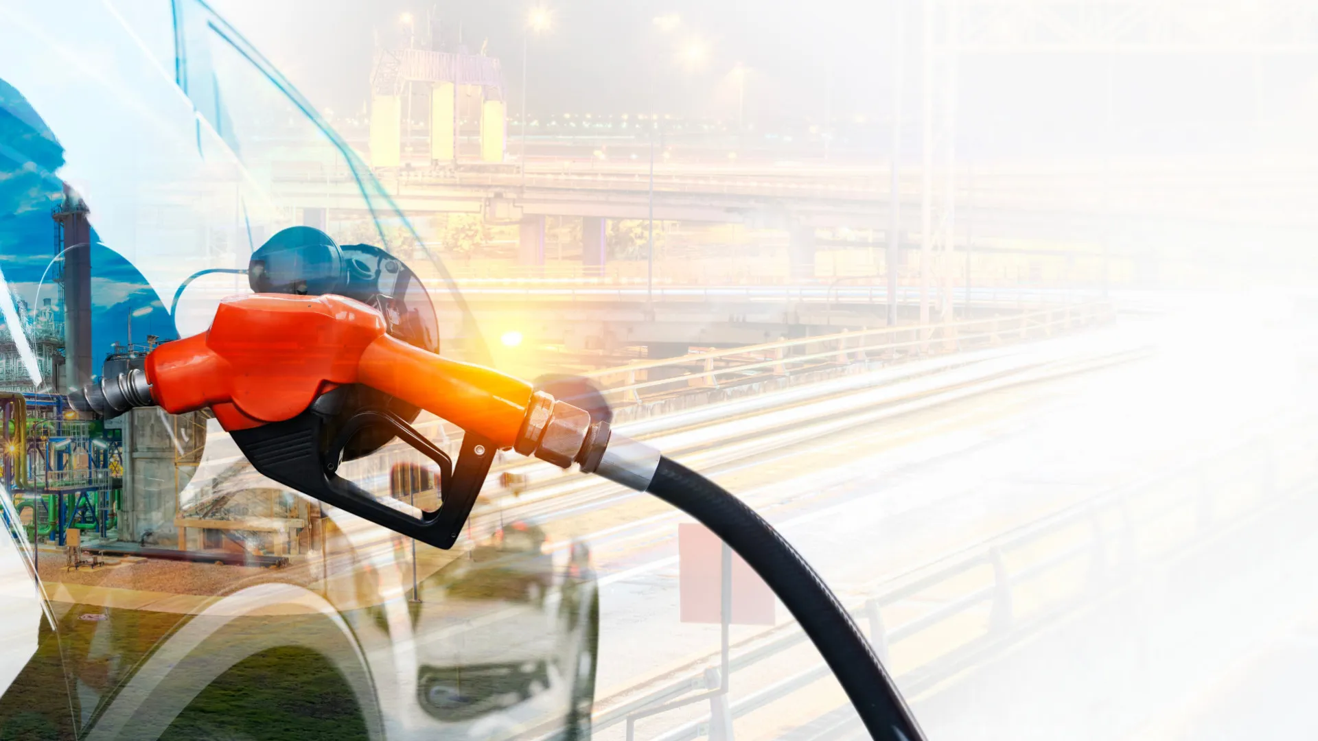 
                    ONG defende que biocombustíveis não são solução para o futuro
                