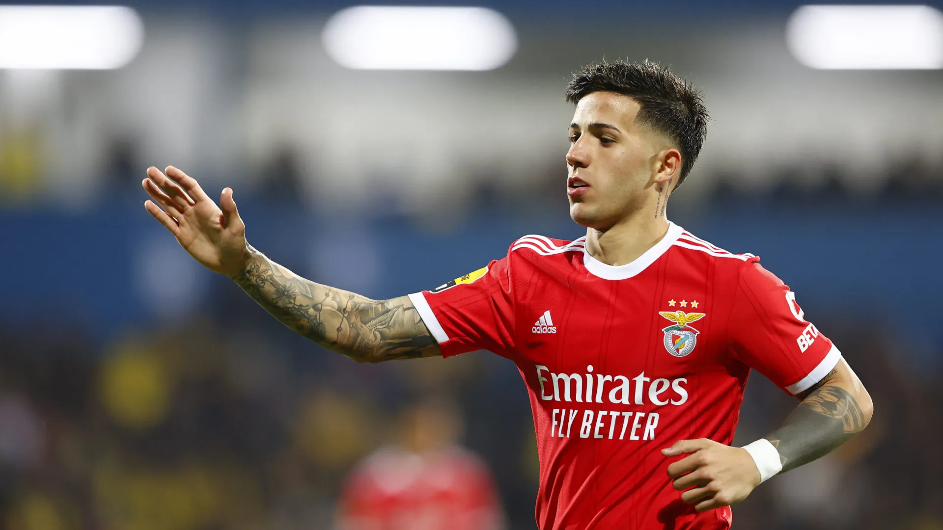 
                    Enzo Fernandez assume: 