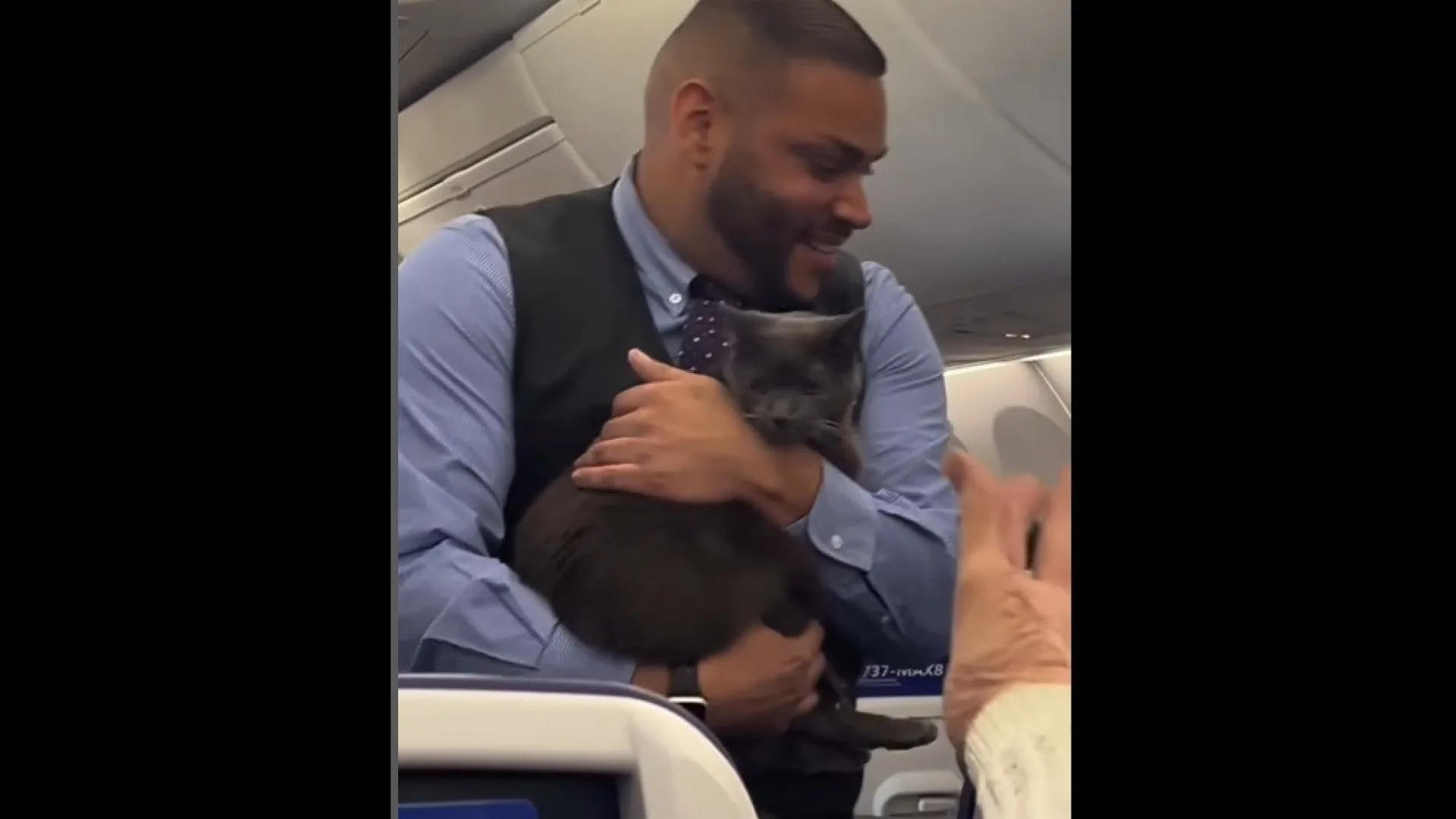 
                    Gato à solta anima viagem de avião nos EUA
                