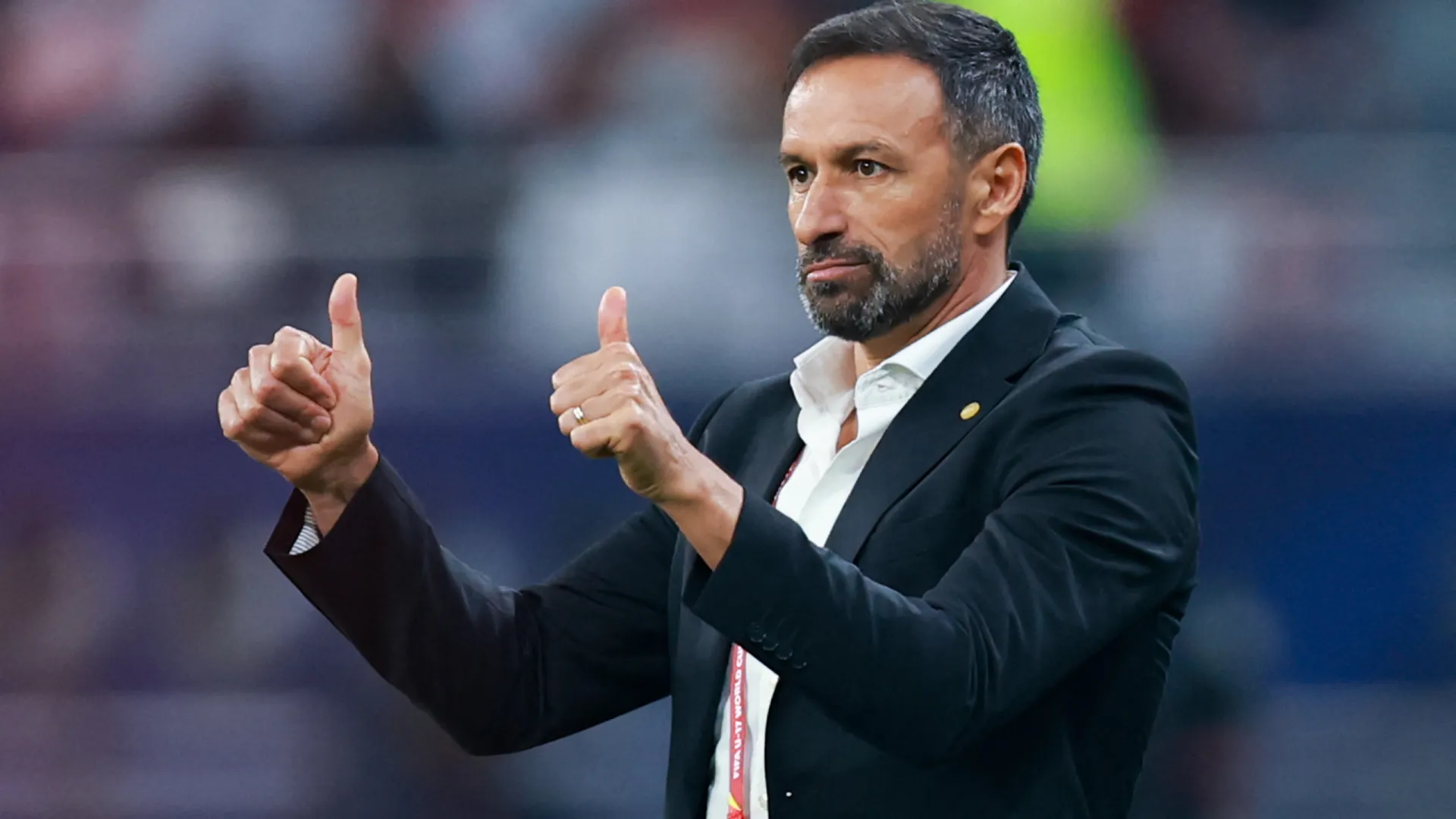 
                    Bino Maçães diz que 