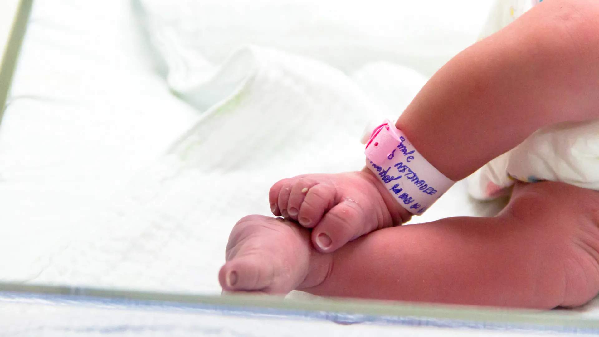 
                    Mãe de 20 anos que levou bebé em Gaia já tinha ficado sem 1 filho. O caso
                