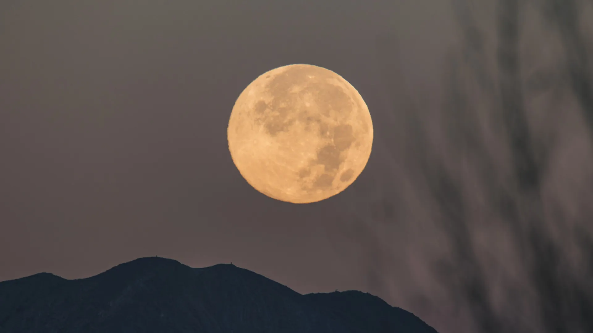 
                    Humanidade prepara-se para regressar à órbita da Lua já em fevereiro
                