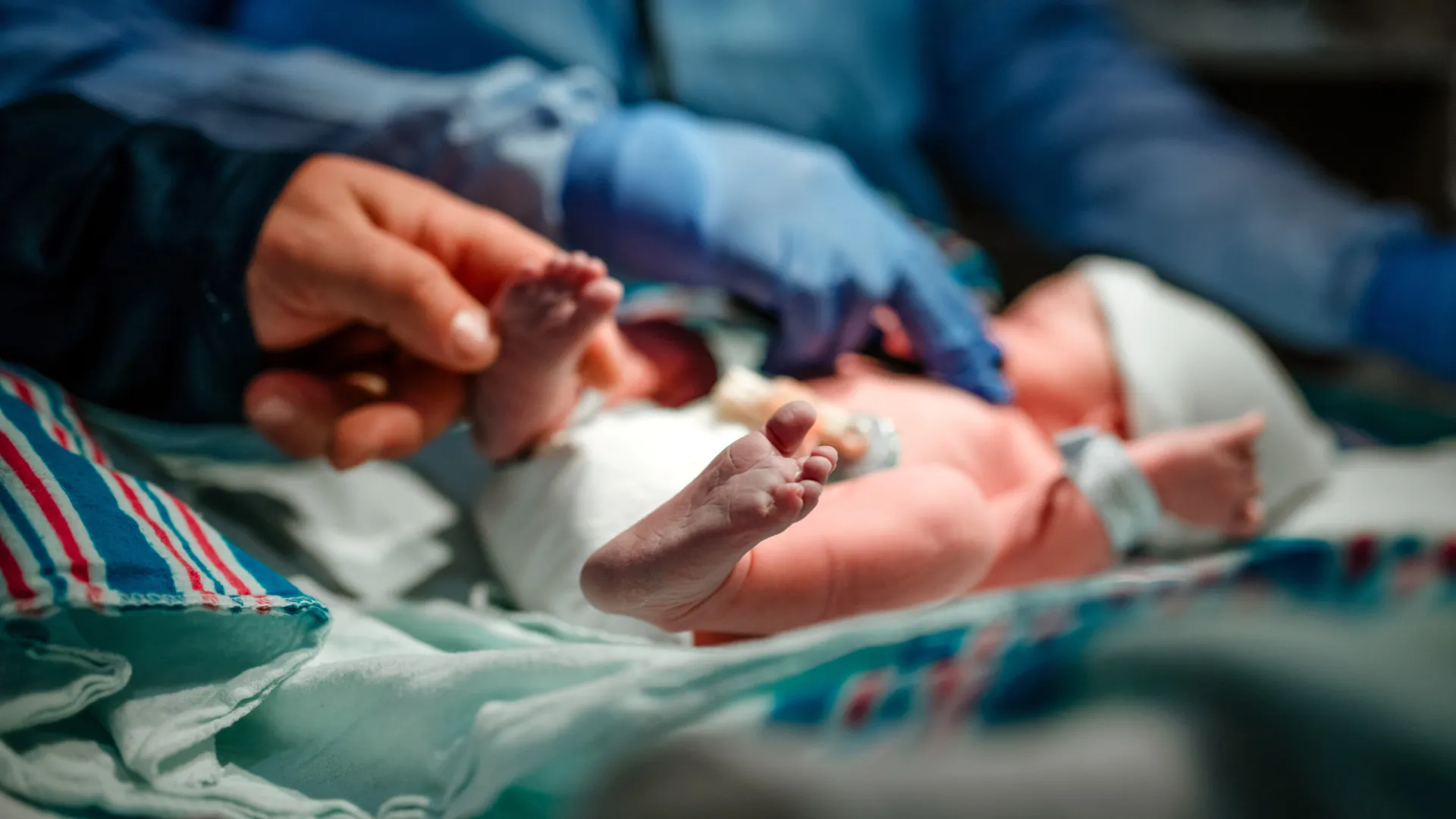 
                    Desaparecimento de bebé em Gaia não é caso único. Lembre outras situações
                