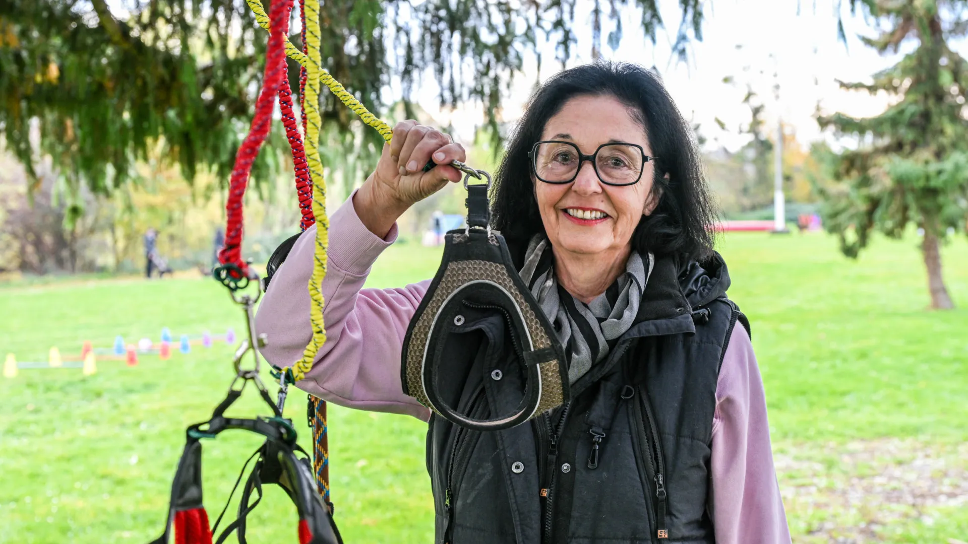 
                    Alemanha tem passeios e treinos para cães imaginários: 