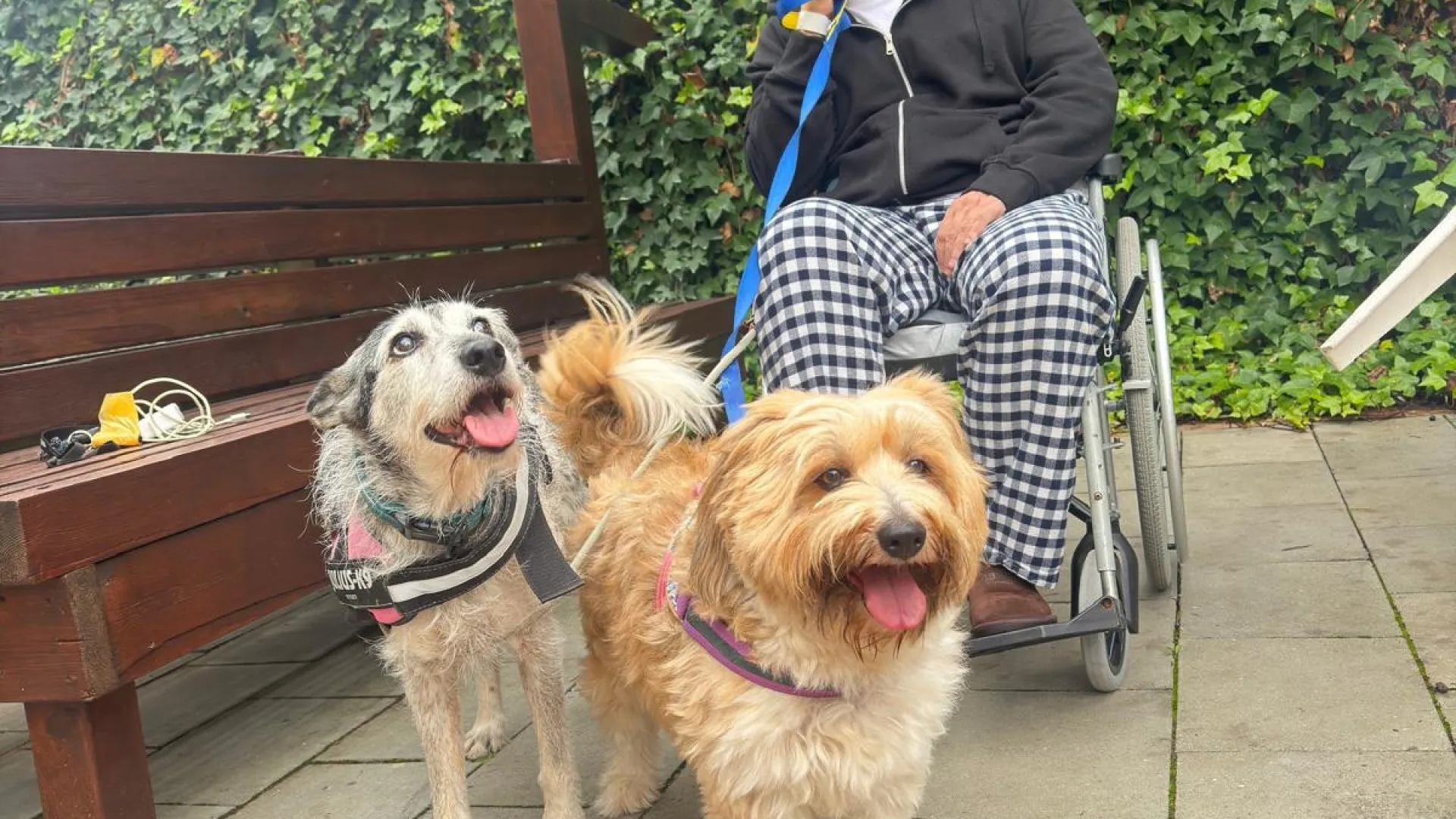 
                    Nuno Markl atualiza estado de saúde: 