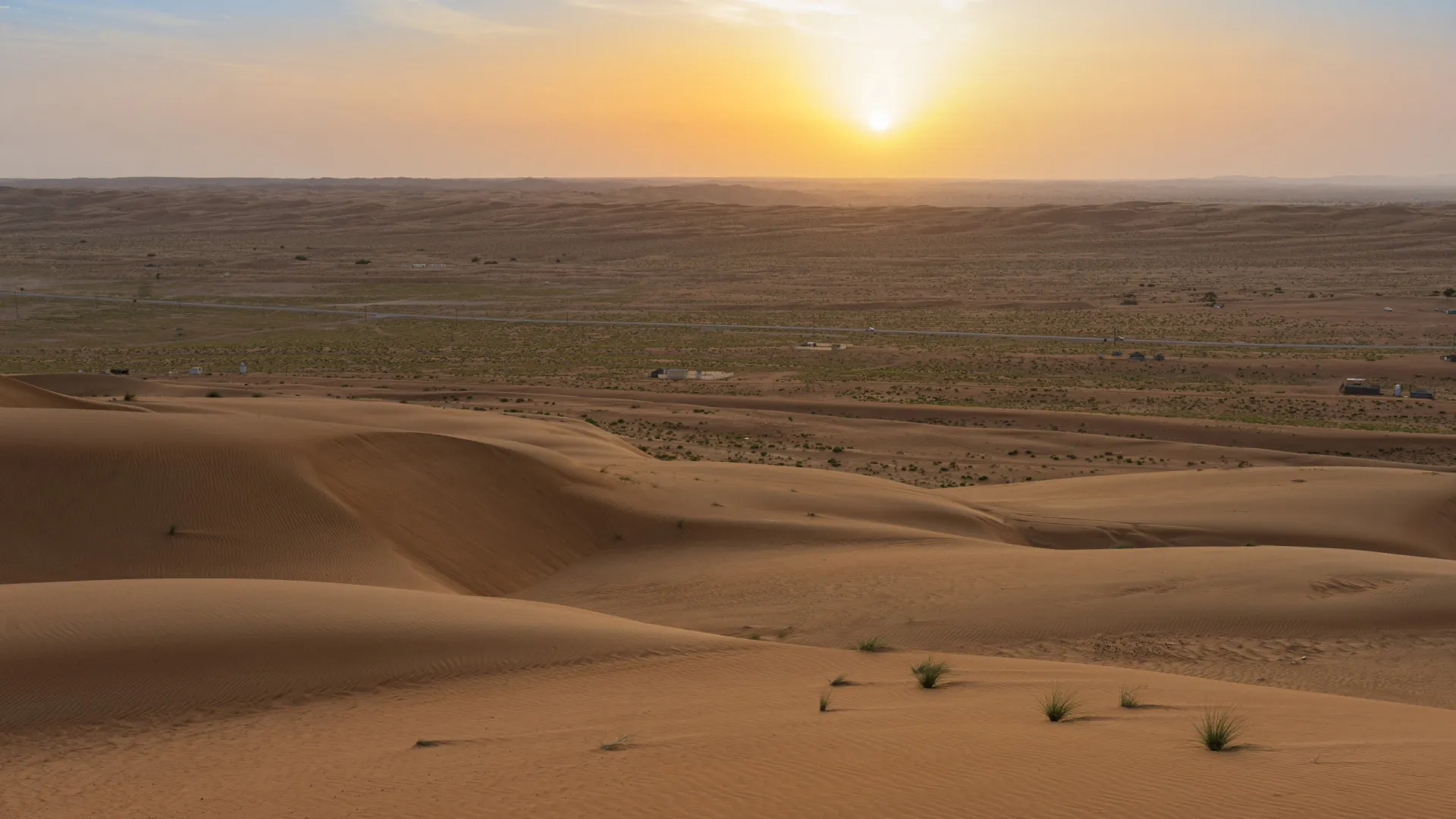 
                    Equipa liderada por investigador da UAlg pioneira em descoberta no deserto
                