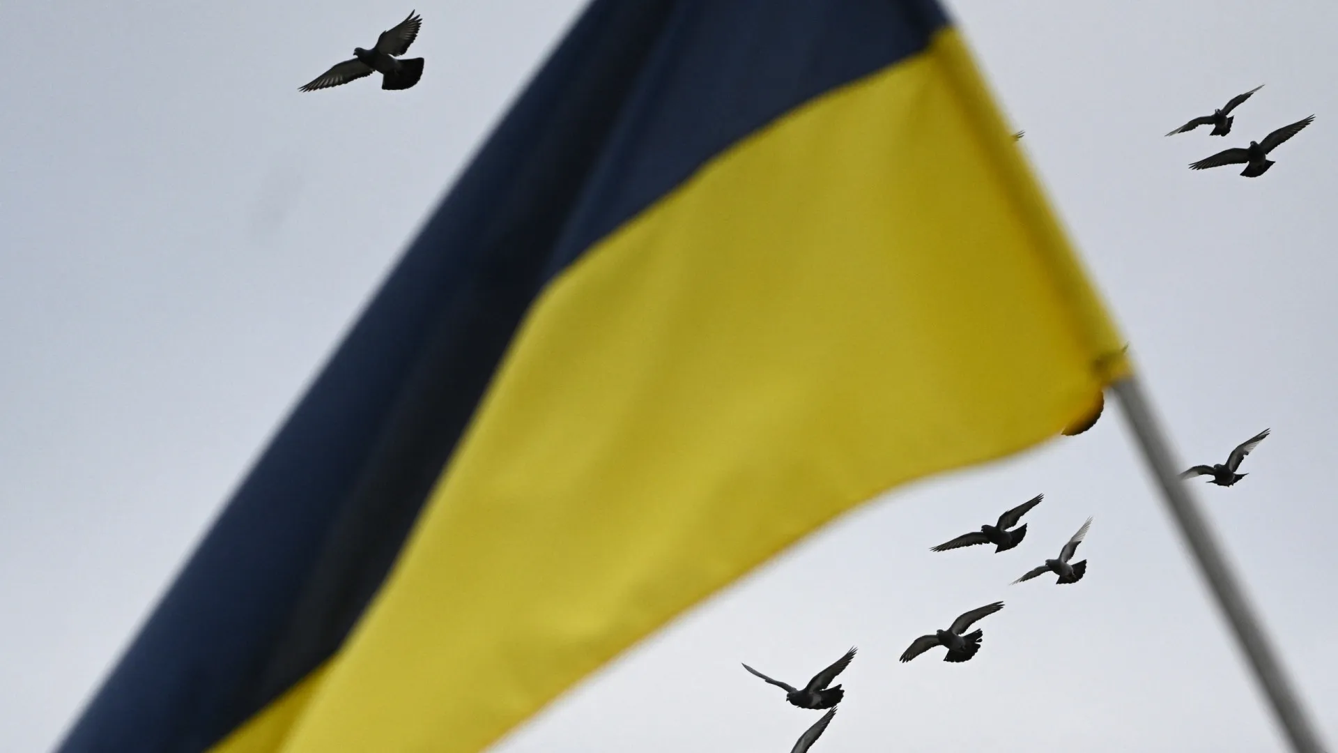 
                    Ministros da UE rumam a Lviv para impulsionar adesão ucraniana ao bloco
                